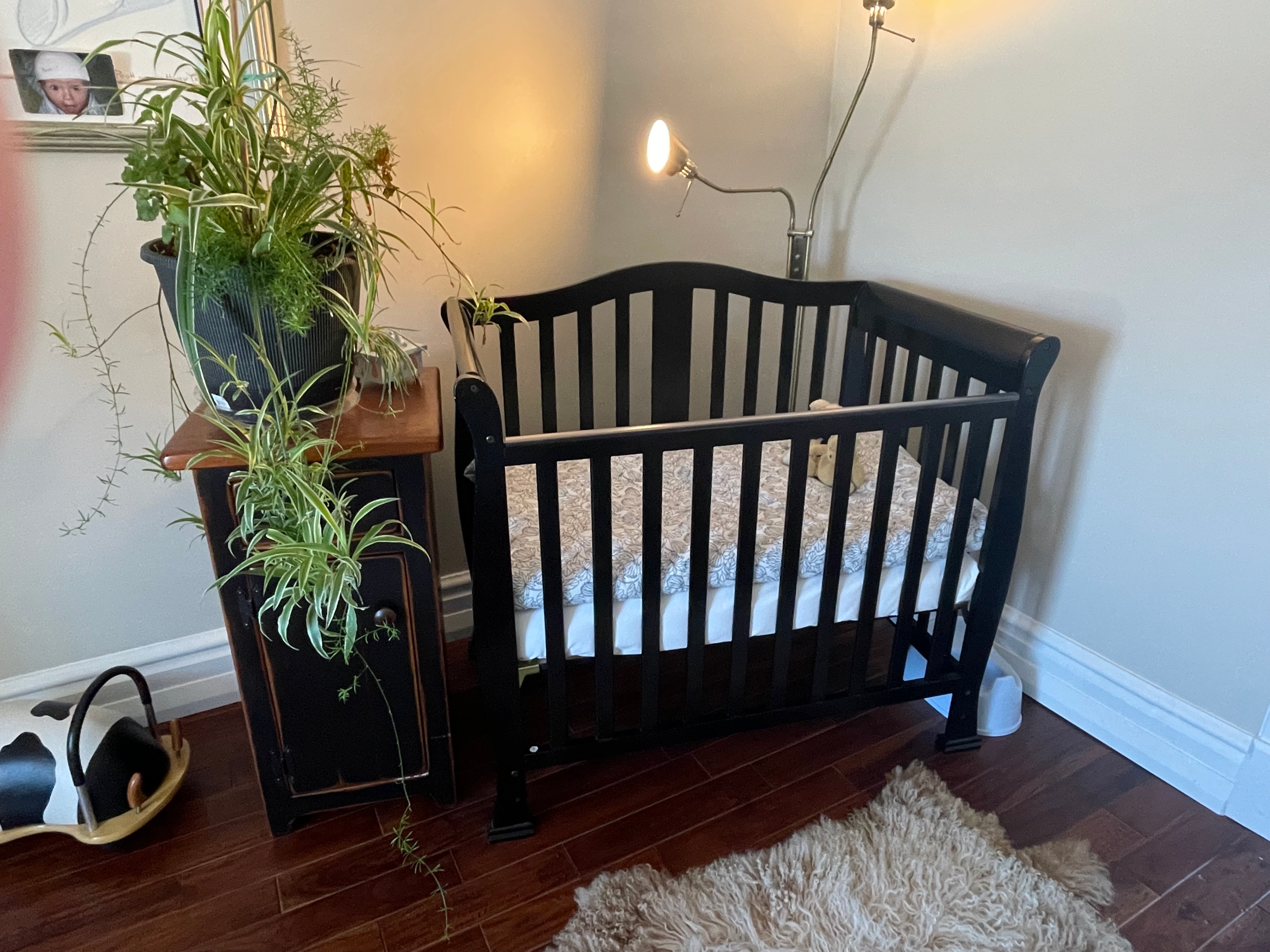 Baby Crib & Mattress