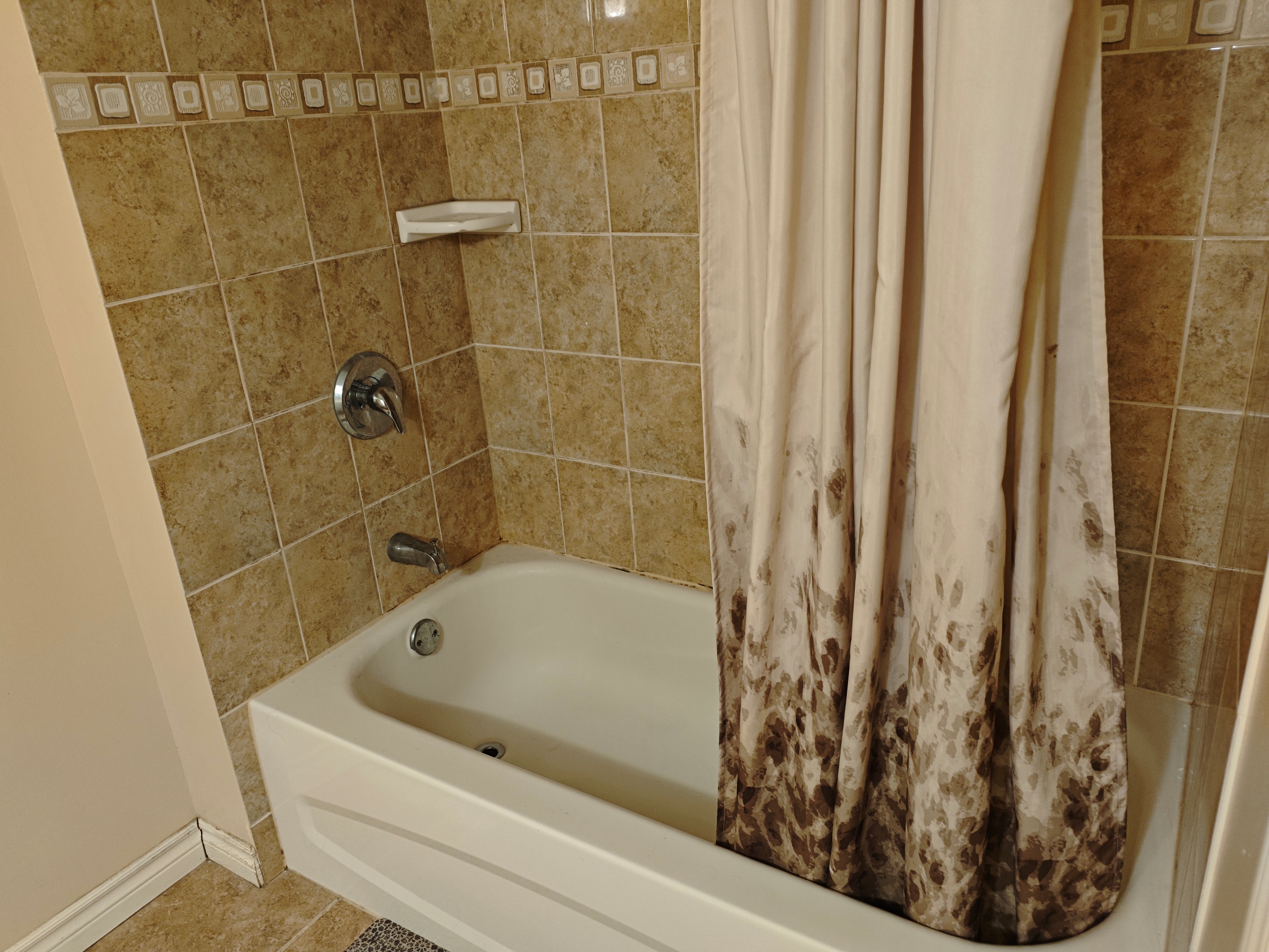 Spacious & Modern Bedroom Lower-Level Suite Shared Bath - photo 3