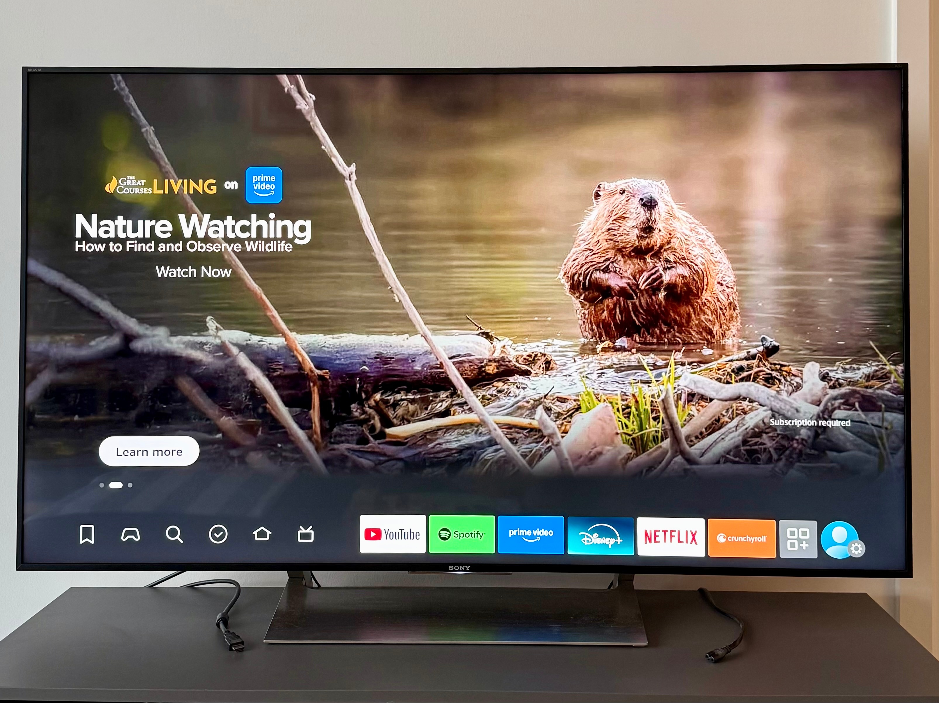 55" Sony Bravia 4K Smart TV XBR-55X900E