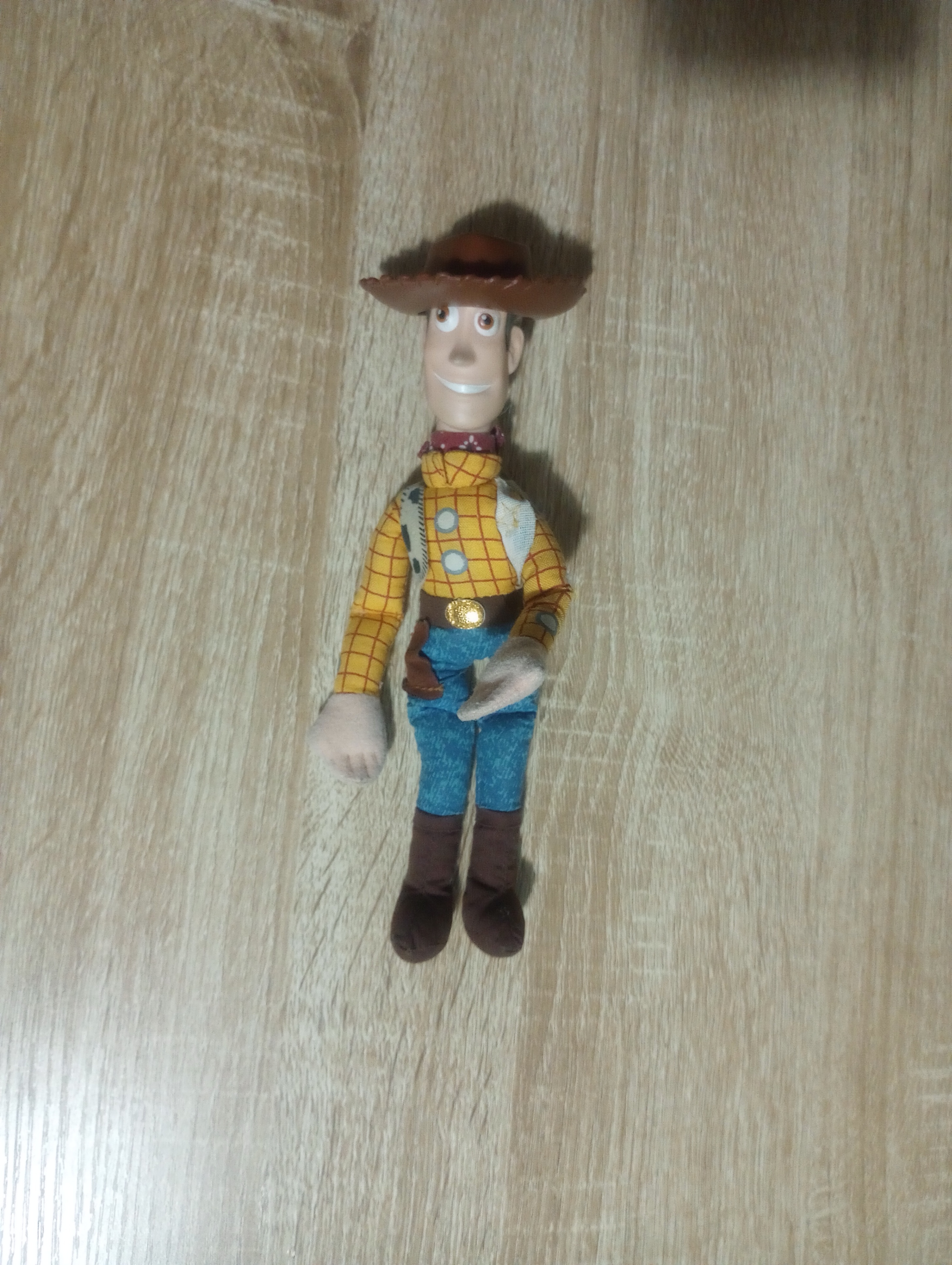 Toy Story Woody Doll - Soft Body, Plastic Head/Hat