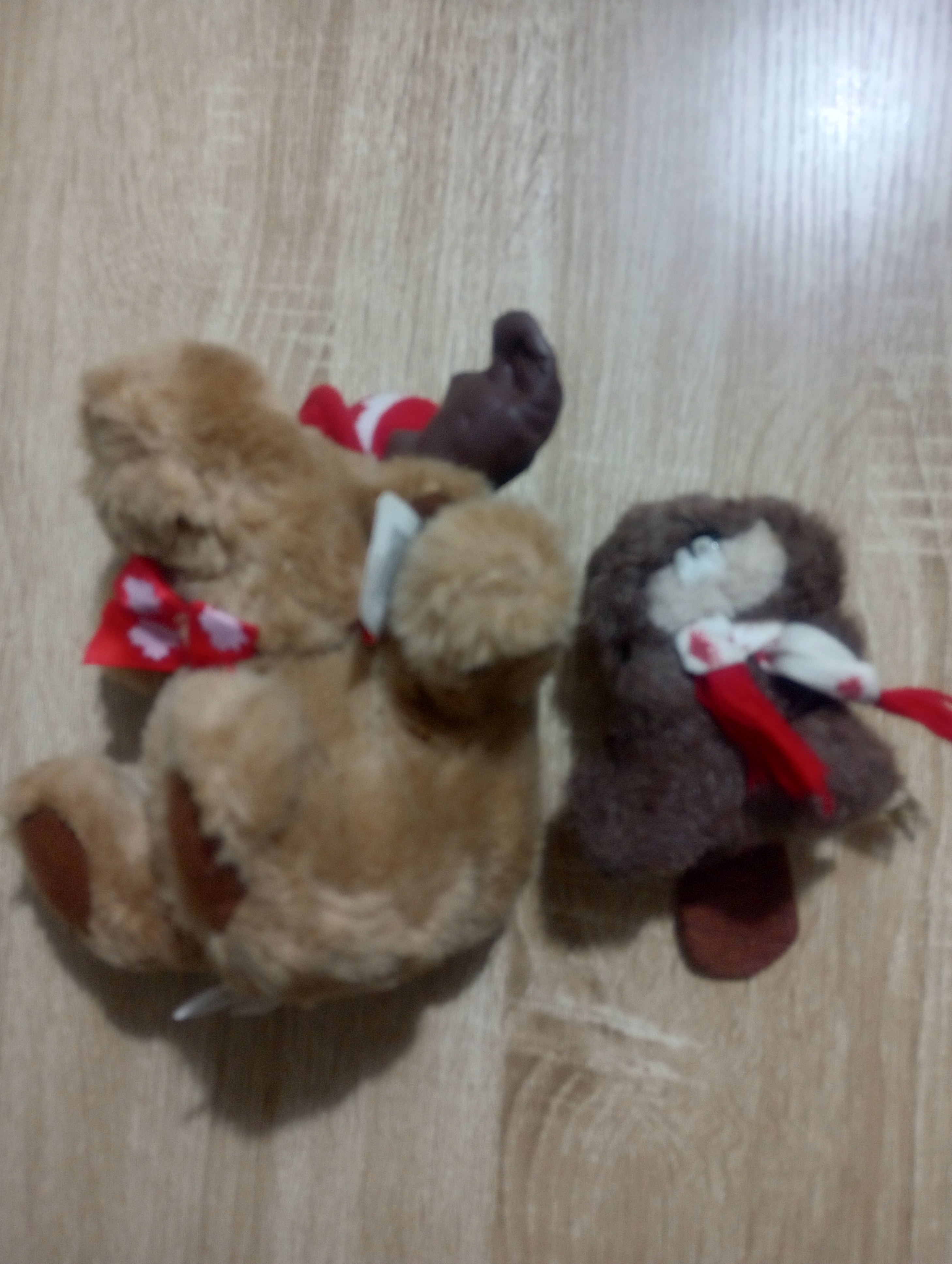 Canada Moose and Beaver Plushie / Stuffed Animal - photo 3