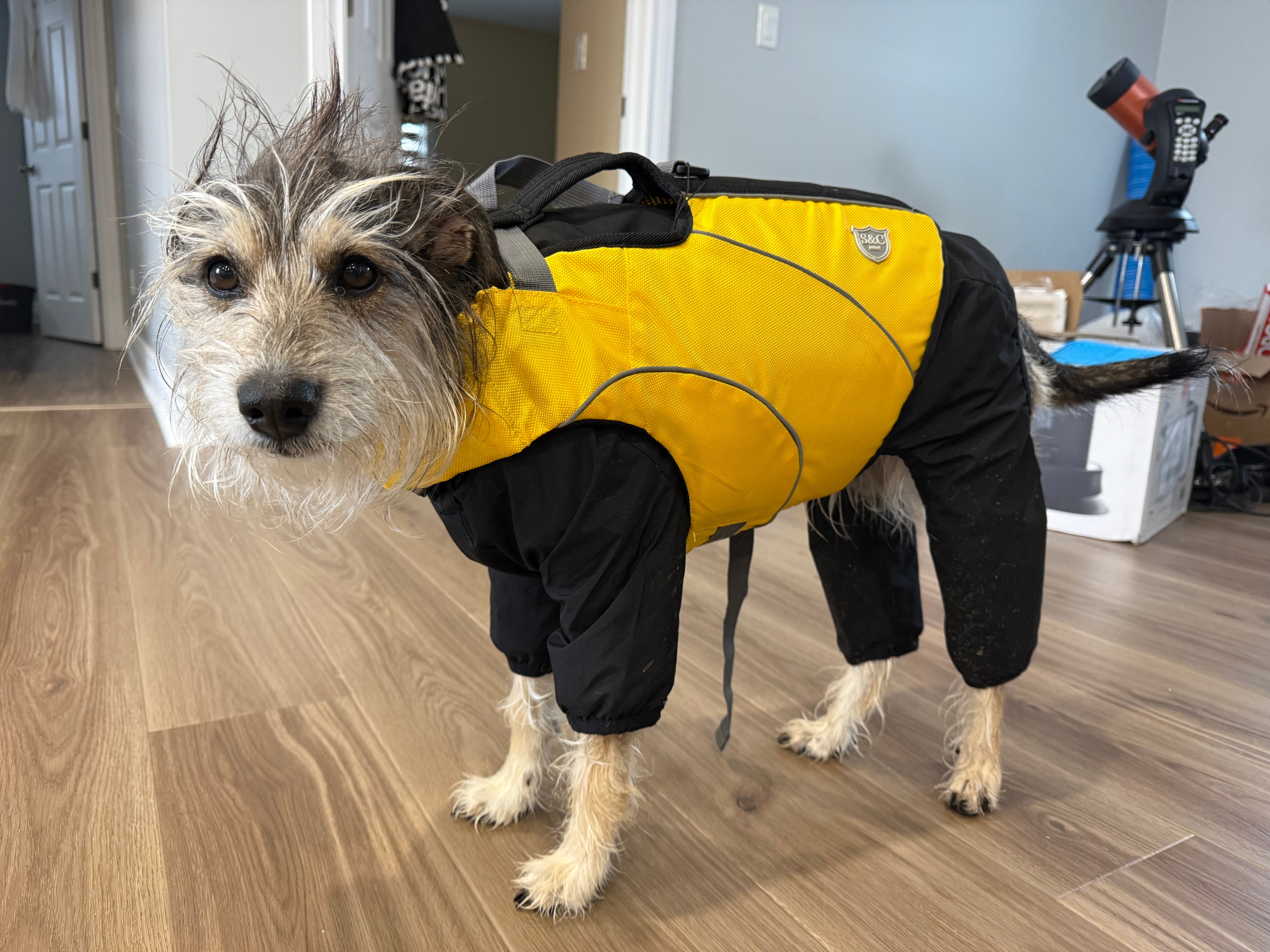 Dog Life Jacket/Flotation Vest, Waterproof - photo 3