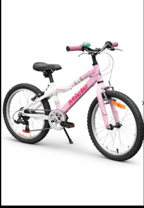 Miele BB201 - kids mountain bike - 20"