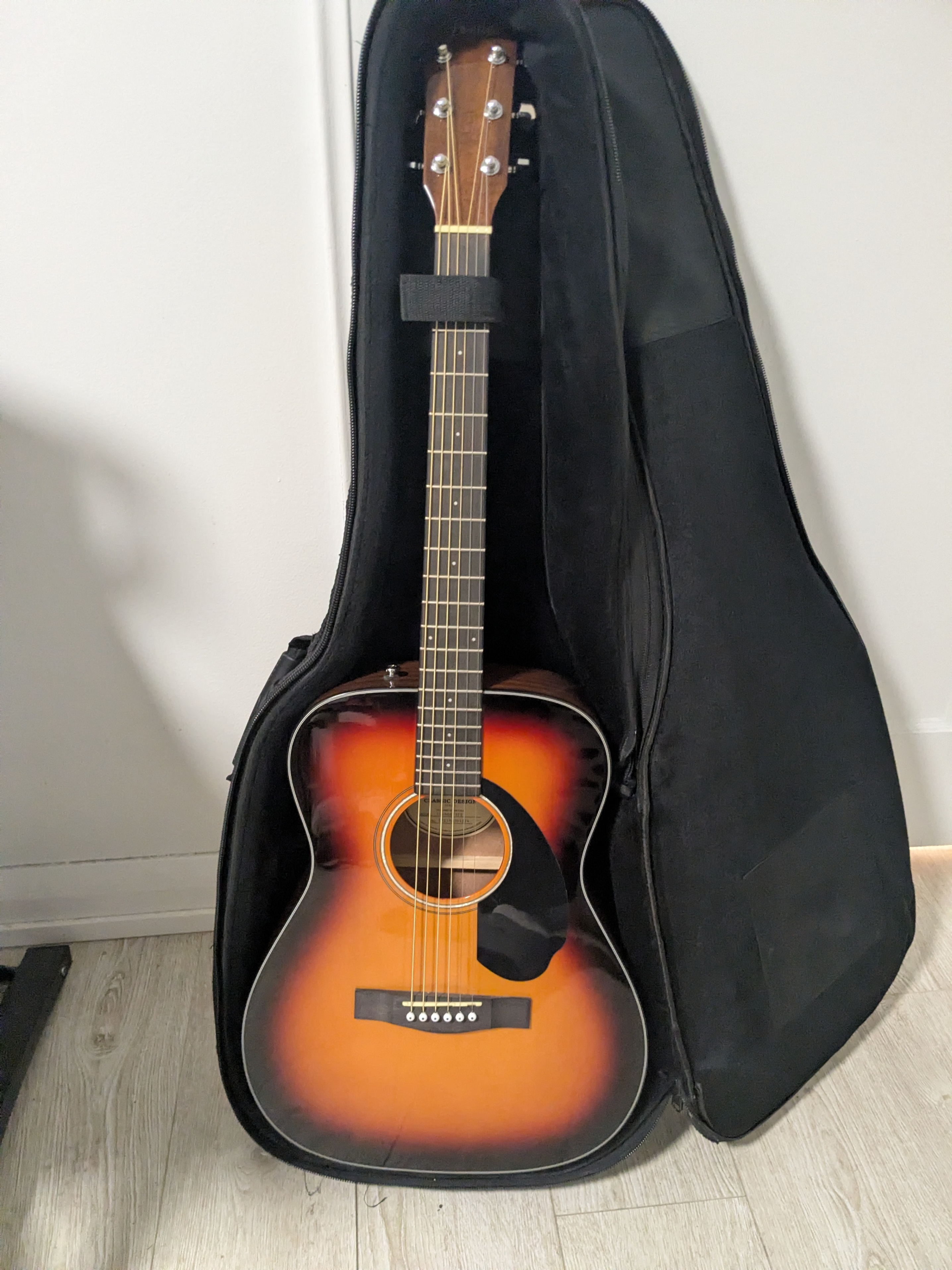 Premium Padded Guitar gig bags - photo 3
