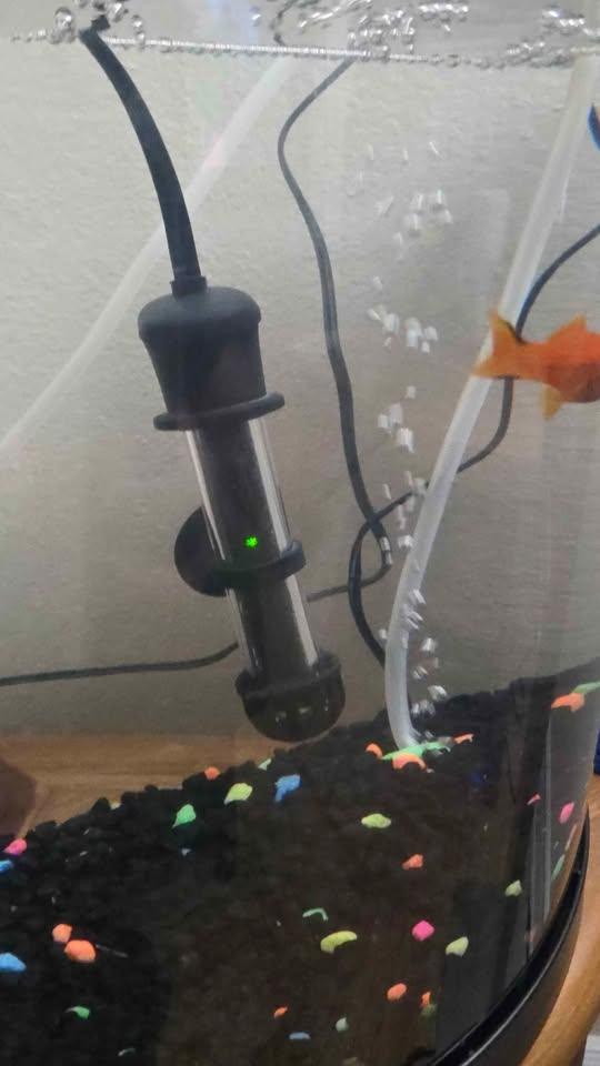 Glow Fish Tank – 3 Gallon - photo 2