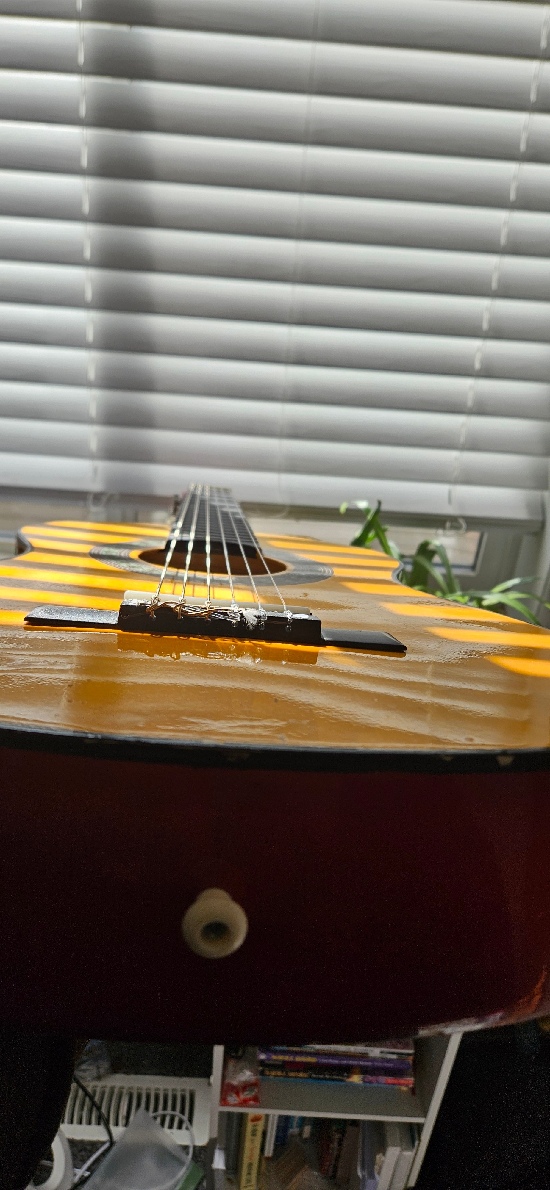 Kid's Guitar