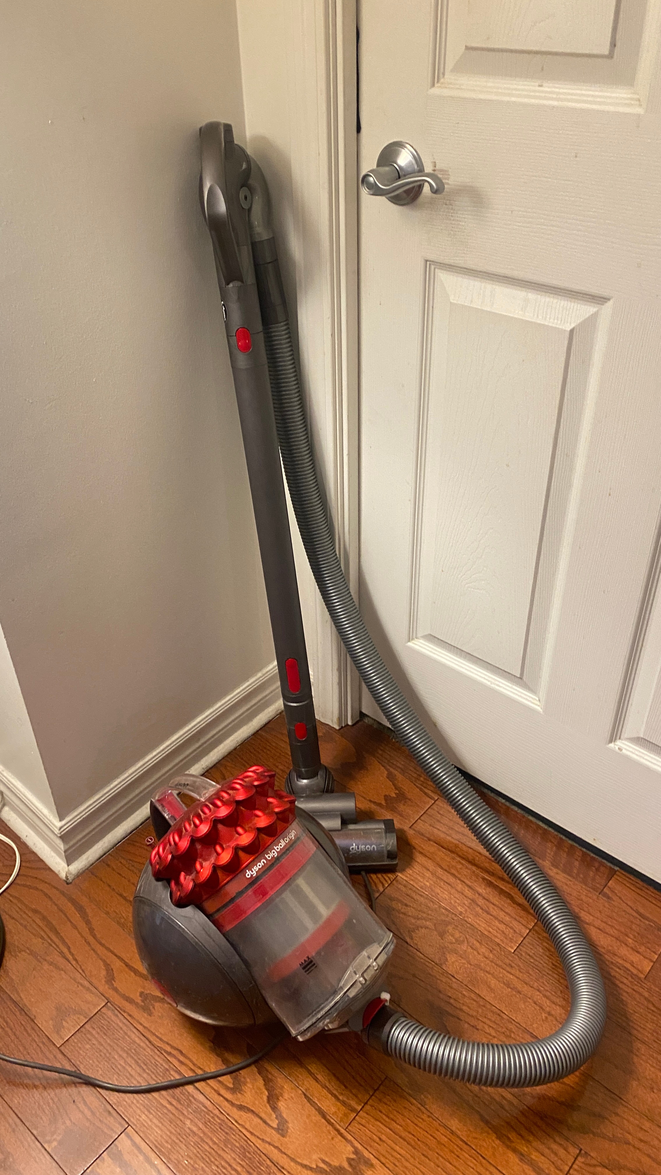 Dyson - Big Ball CINETIC canister vacuum CY22