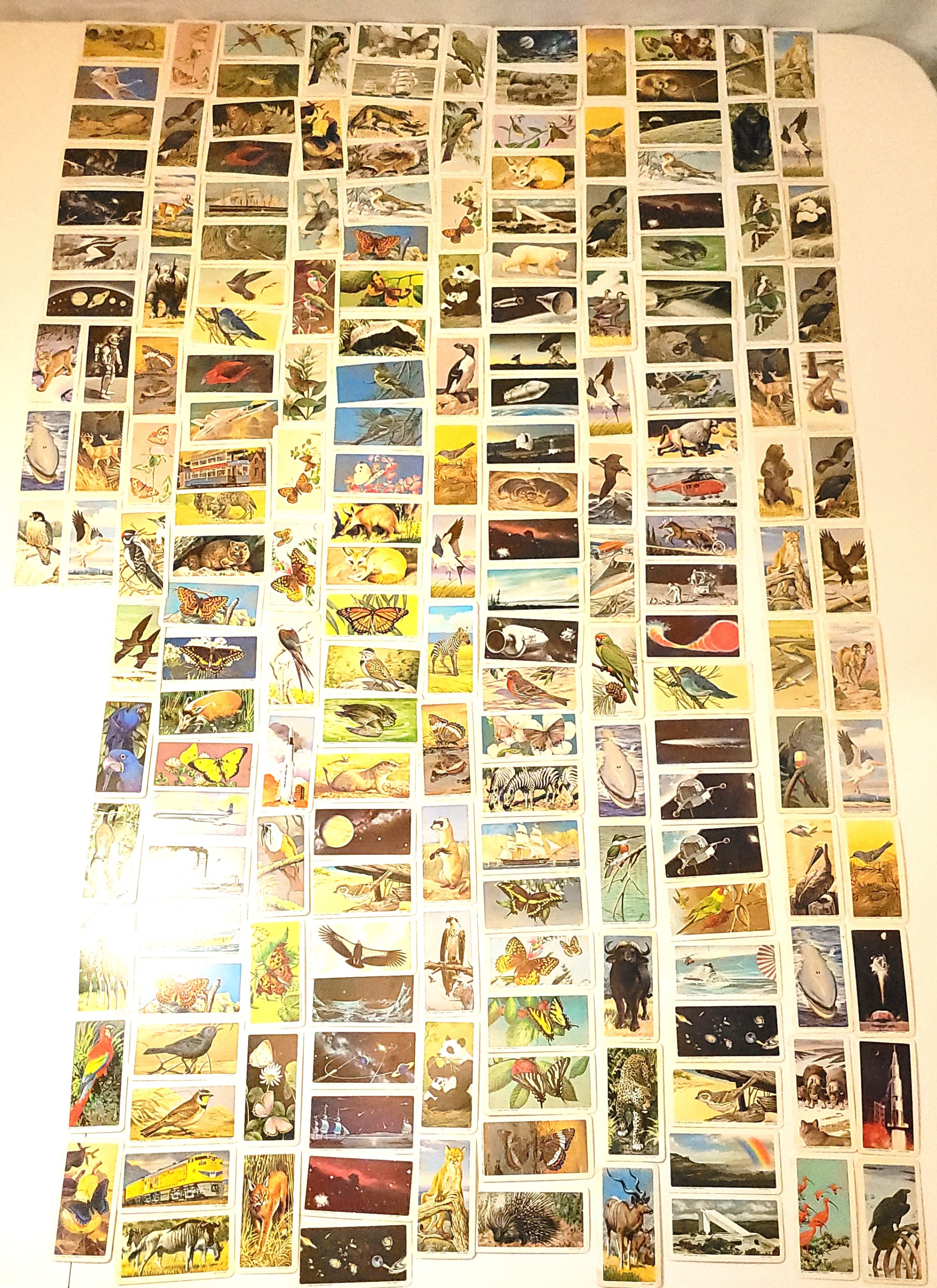 Lot of 189 Vintage Red Rose Tea Cards 1960-73 Space Age & Animal