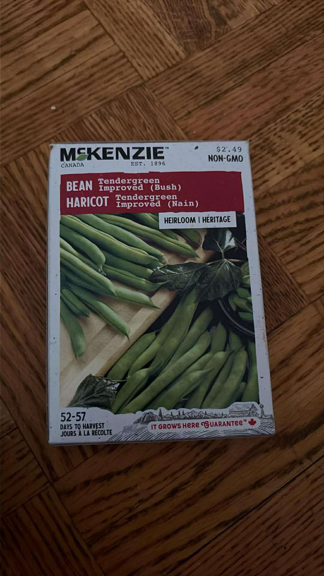 1 Pack McKenzie Tendergreen Bean Seeds