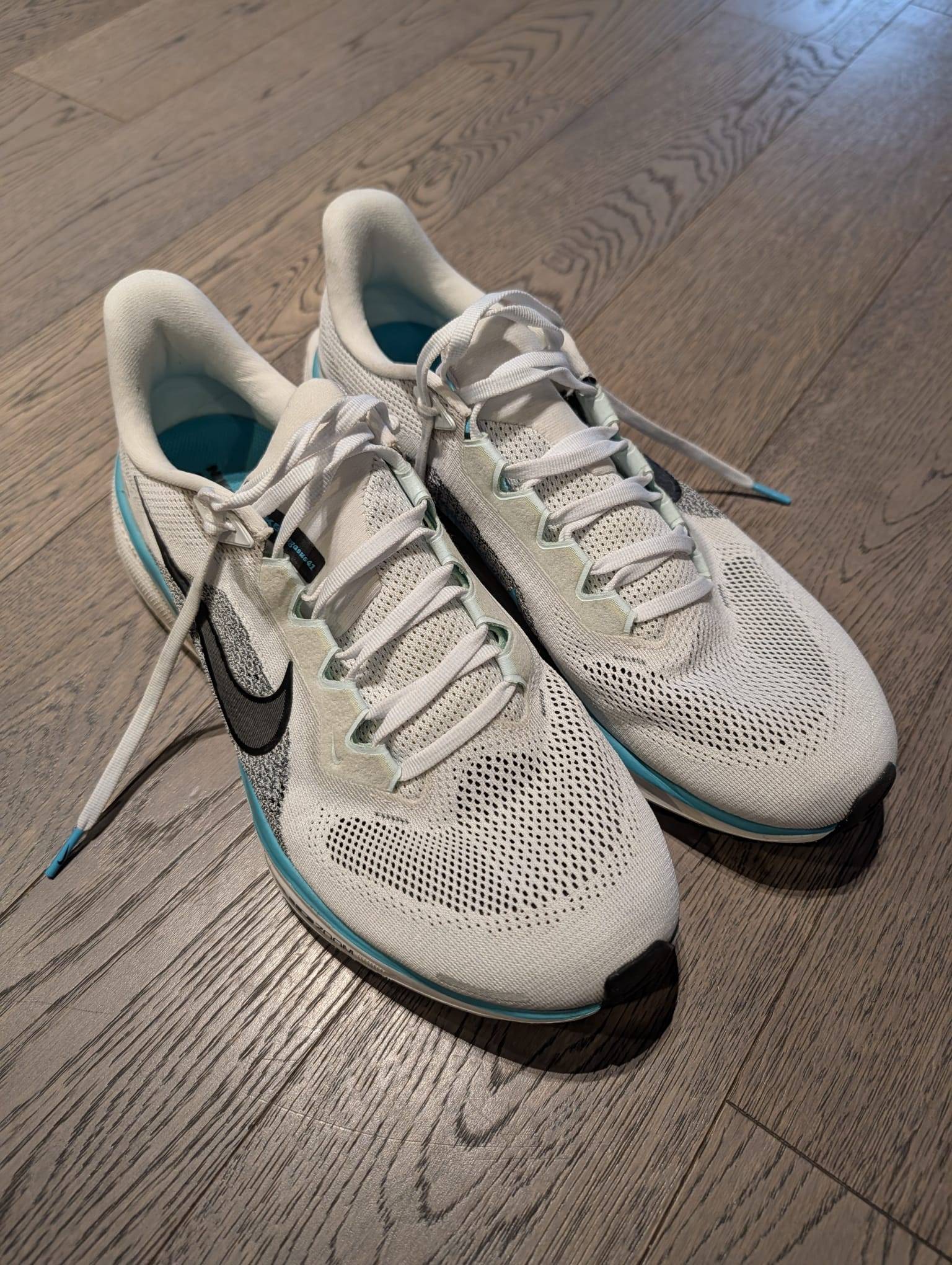 Nike - Nike Men's Zoom Pegasus 41