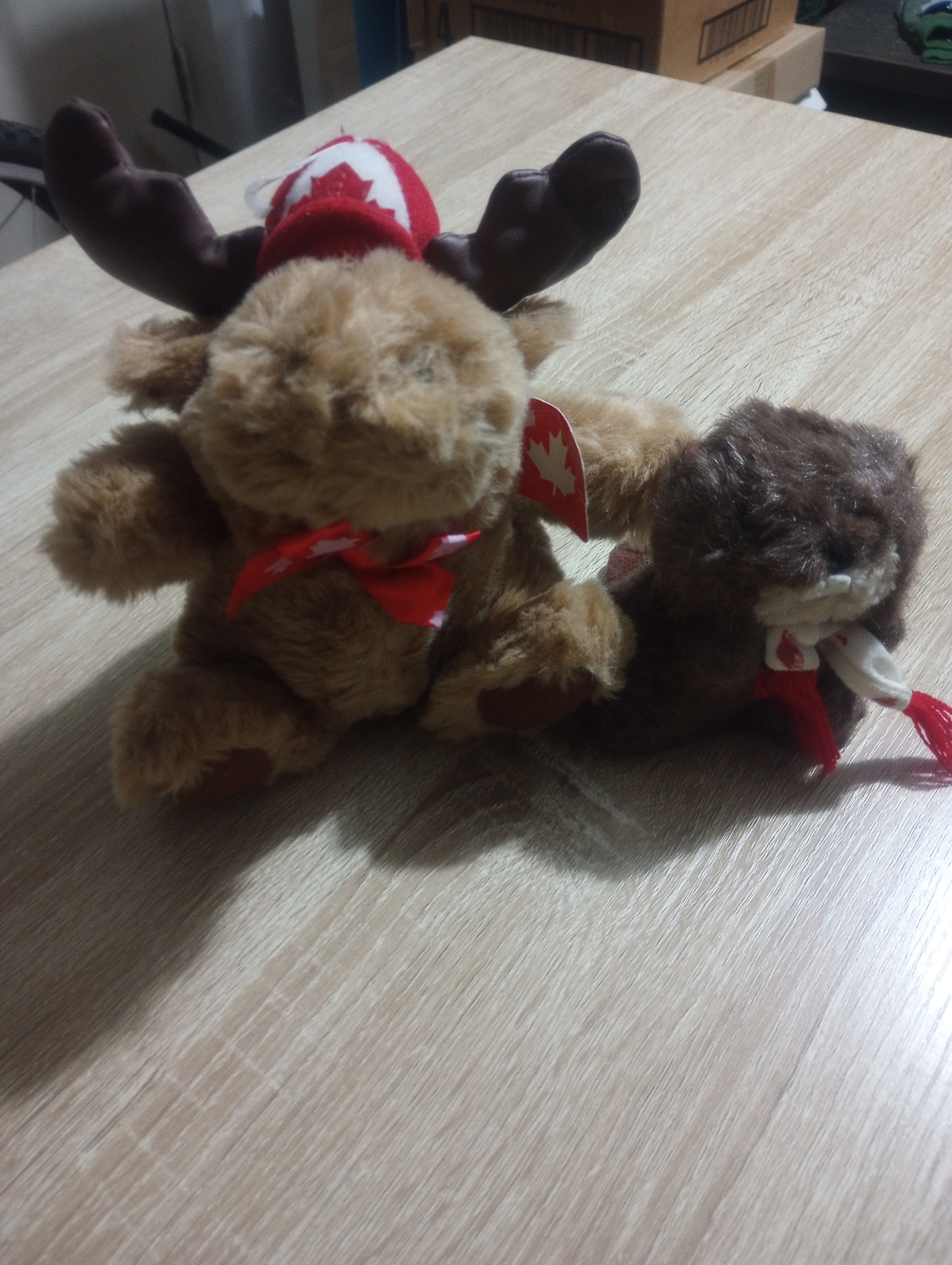 Canada Moose and Beaver Plushie / Stuffed Animal