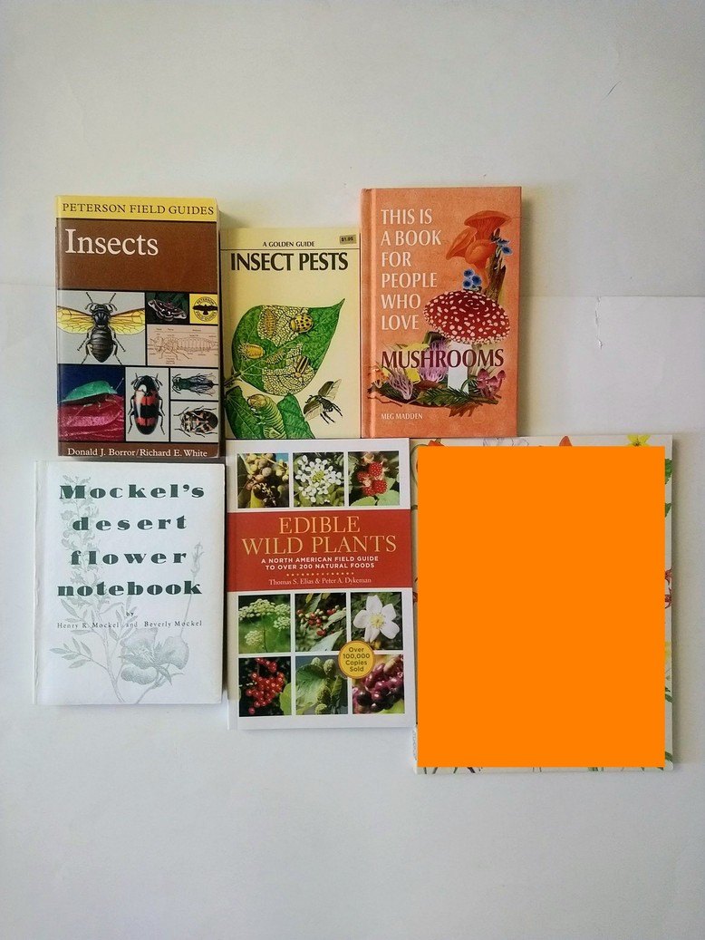 Nature Field Guides Mix!
