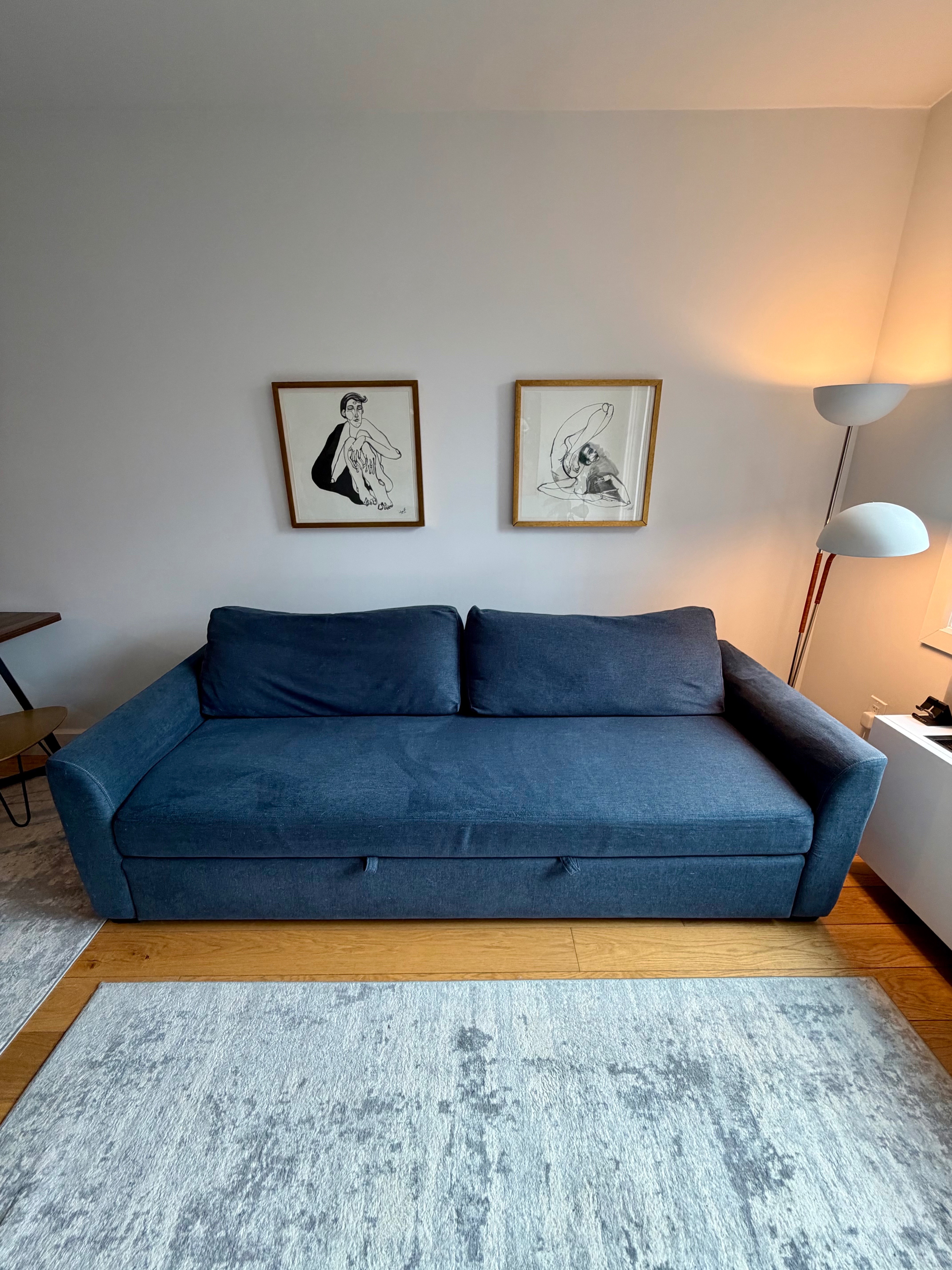 Beautiful Blue Sleeper Sofa – Queen Bed | Crate & Barrel - photo 2