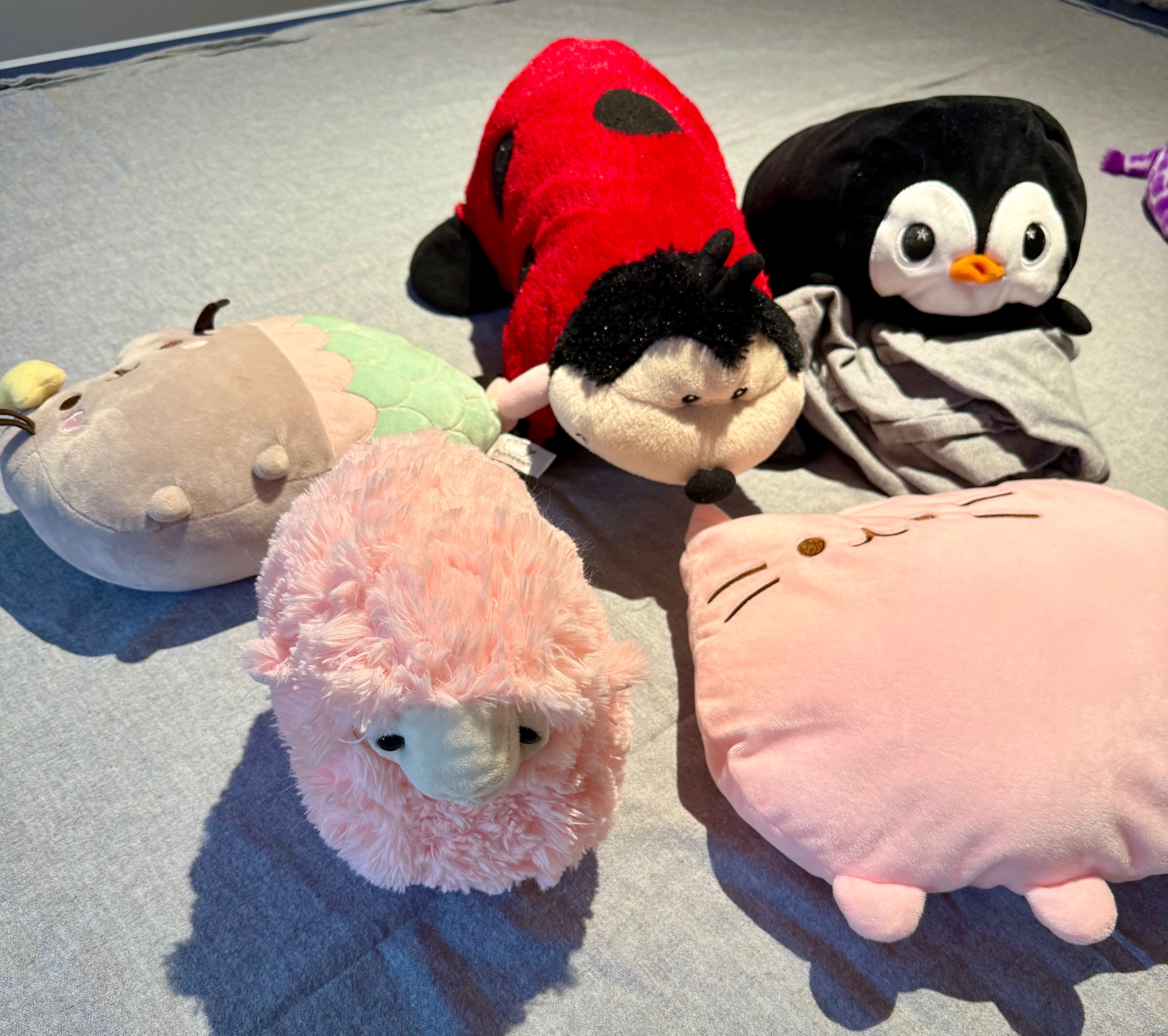 🧸 Stuffed Animal Adoption Event 🧸