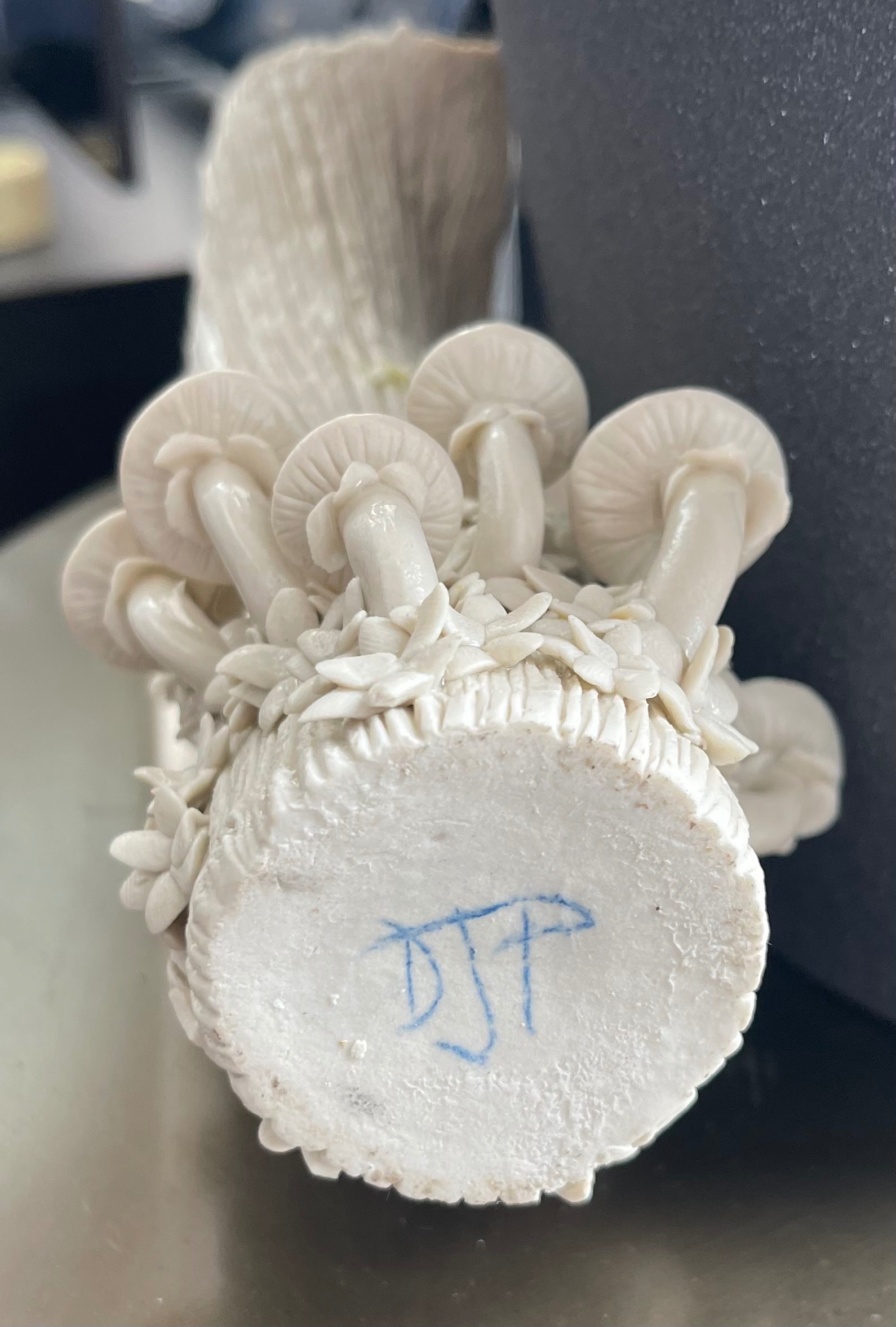 Signed Darrell Perfumo BC Studio Porcelain Vase (7.5") - photo 3