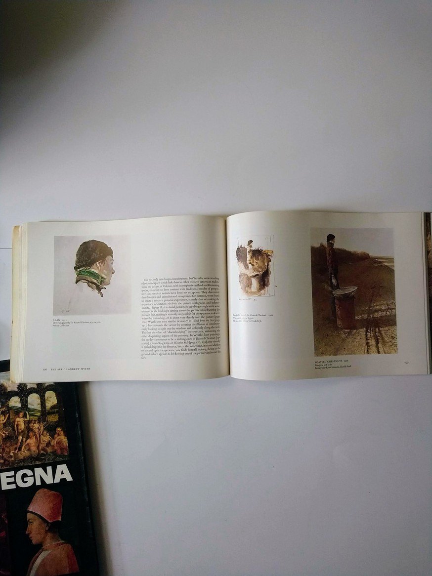 The Art of Andrew Wyeth / Mantegna! - photo 3