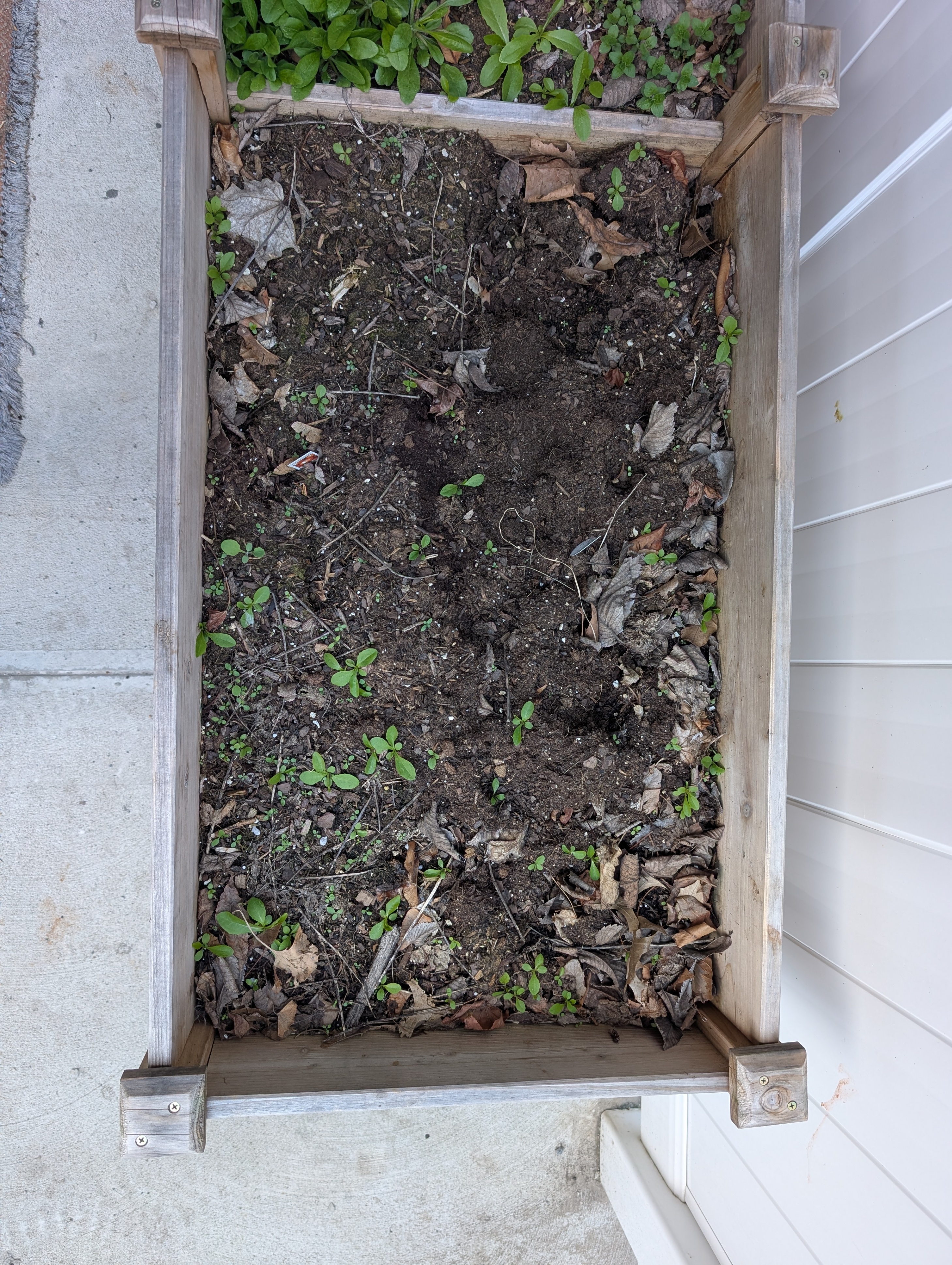 Raised Garden Bed w/ 3 pots and watering can - photo 4