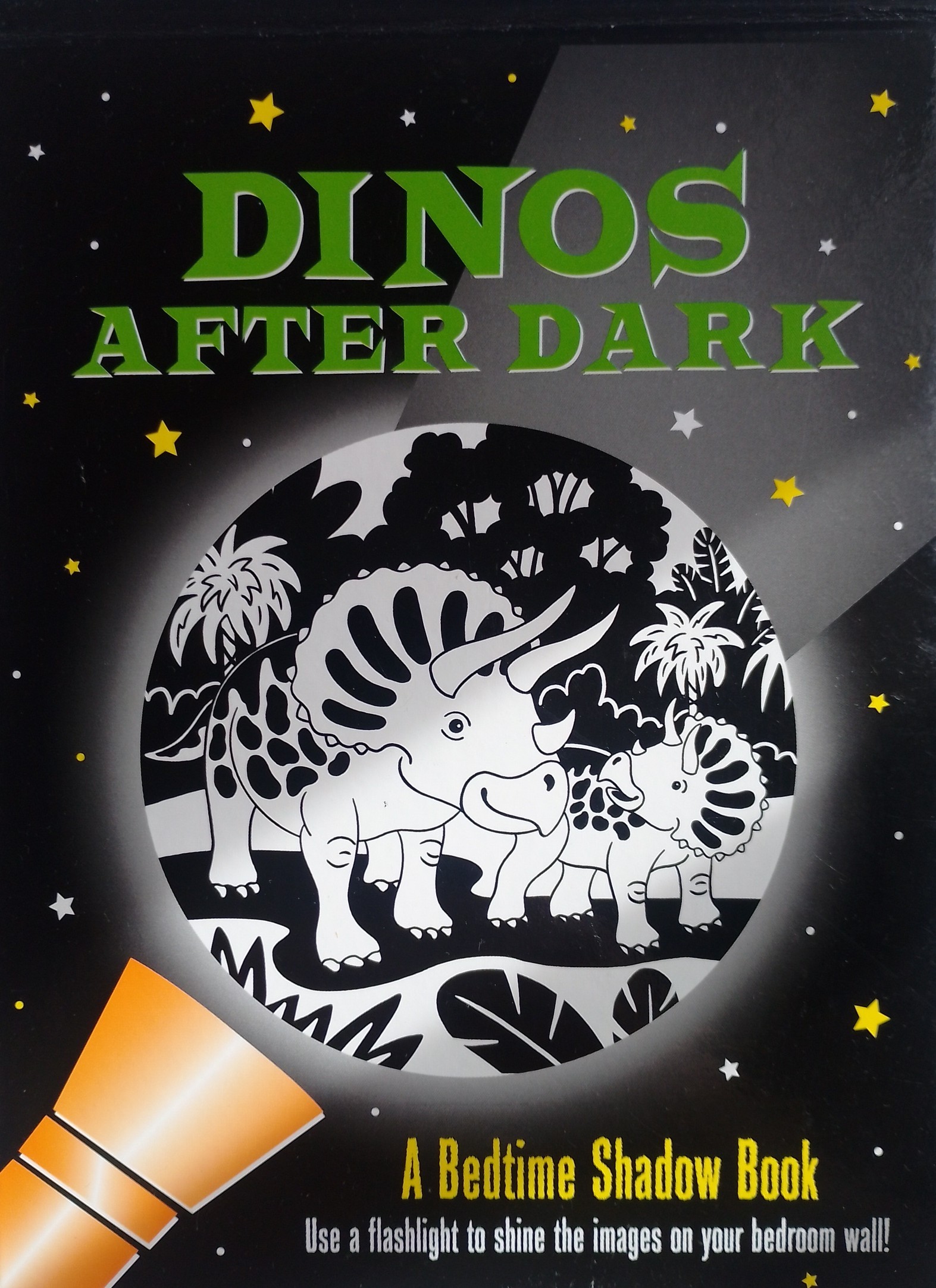 Honey Bear Books, Cinderella & Dinos After Dark - photo 4