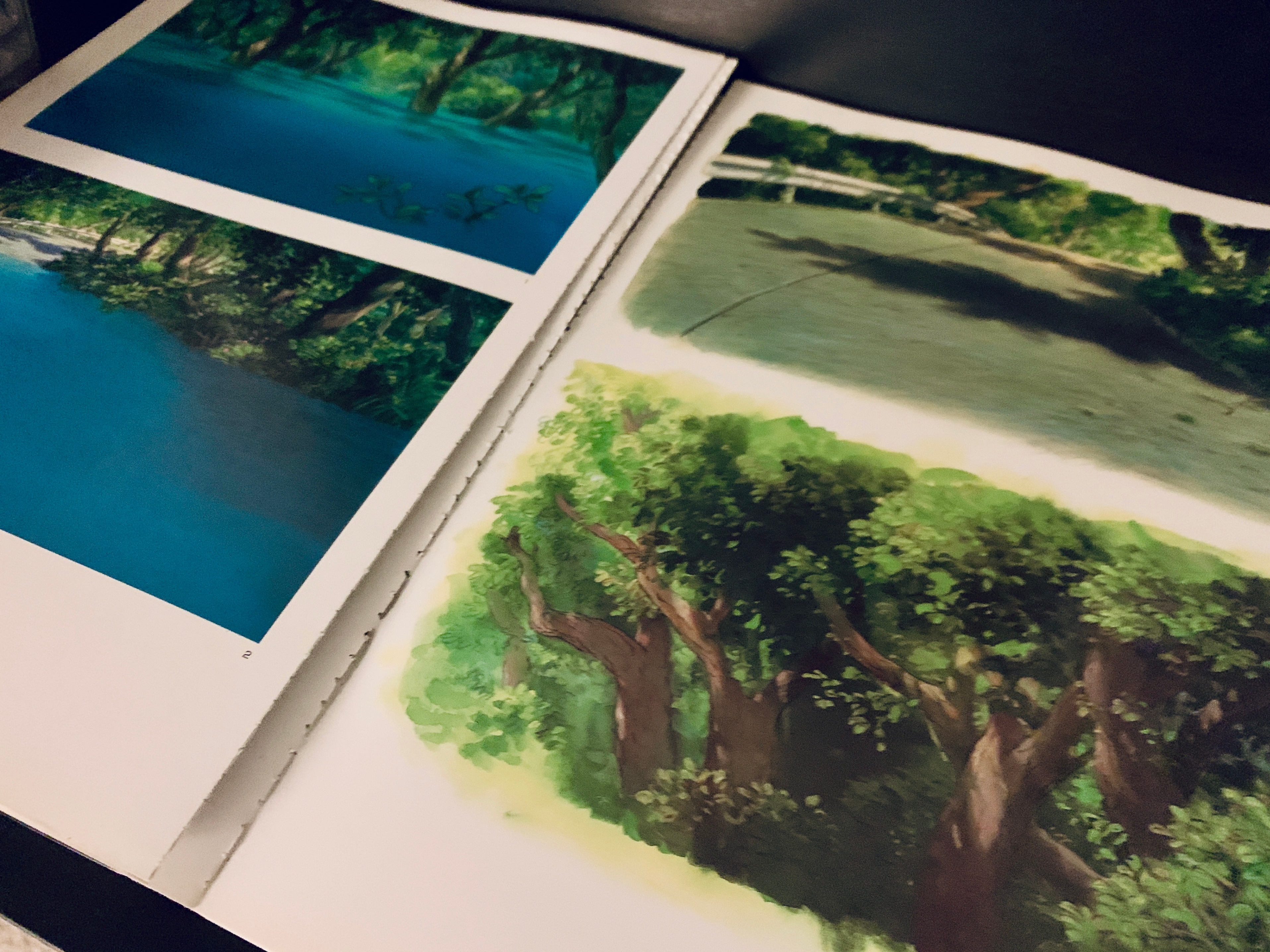 The Art of Ponyo - Hayao Miyazaki Book - photo 2
