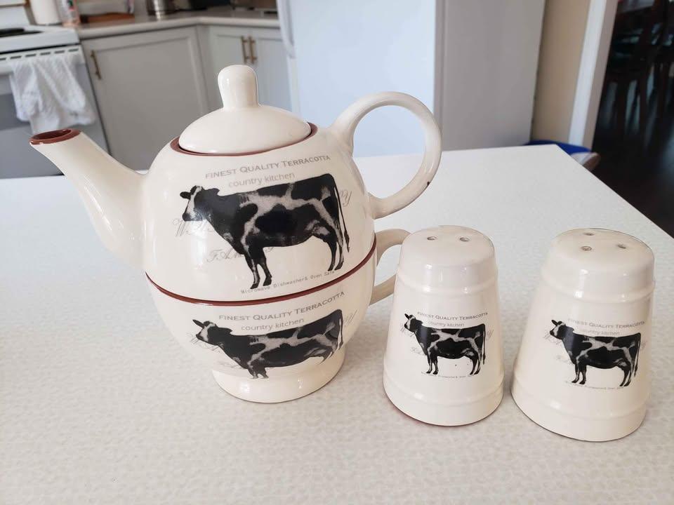 Teapot + Mug with Salt & Pepper set