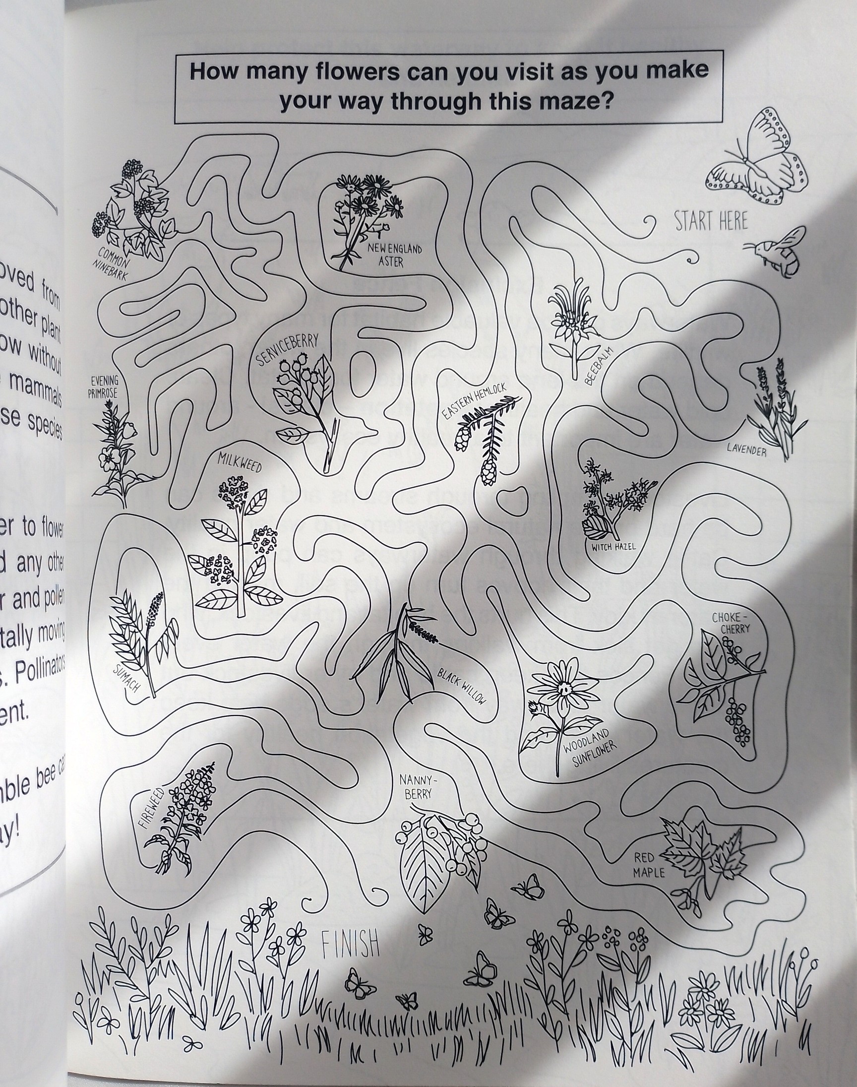 The Musical Life of Gustav Mole Book + Colouring books - photo 5