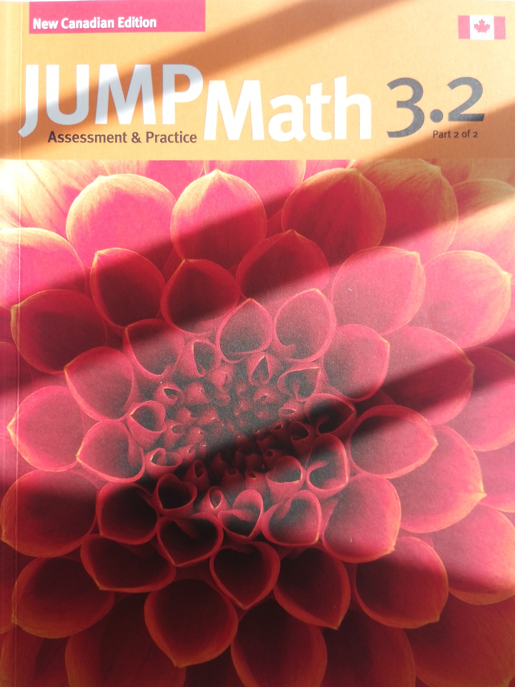 JUMP Math 3.1 & 3.2 Assessment & Practice Books - photo 2