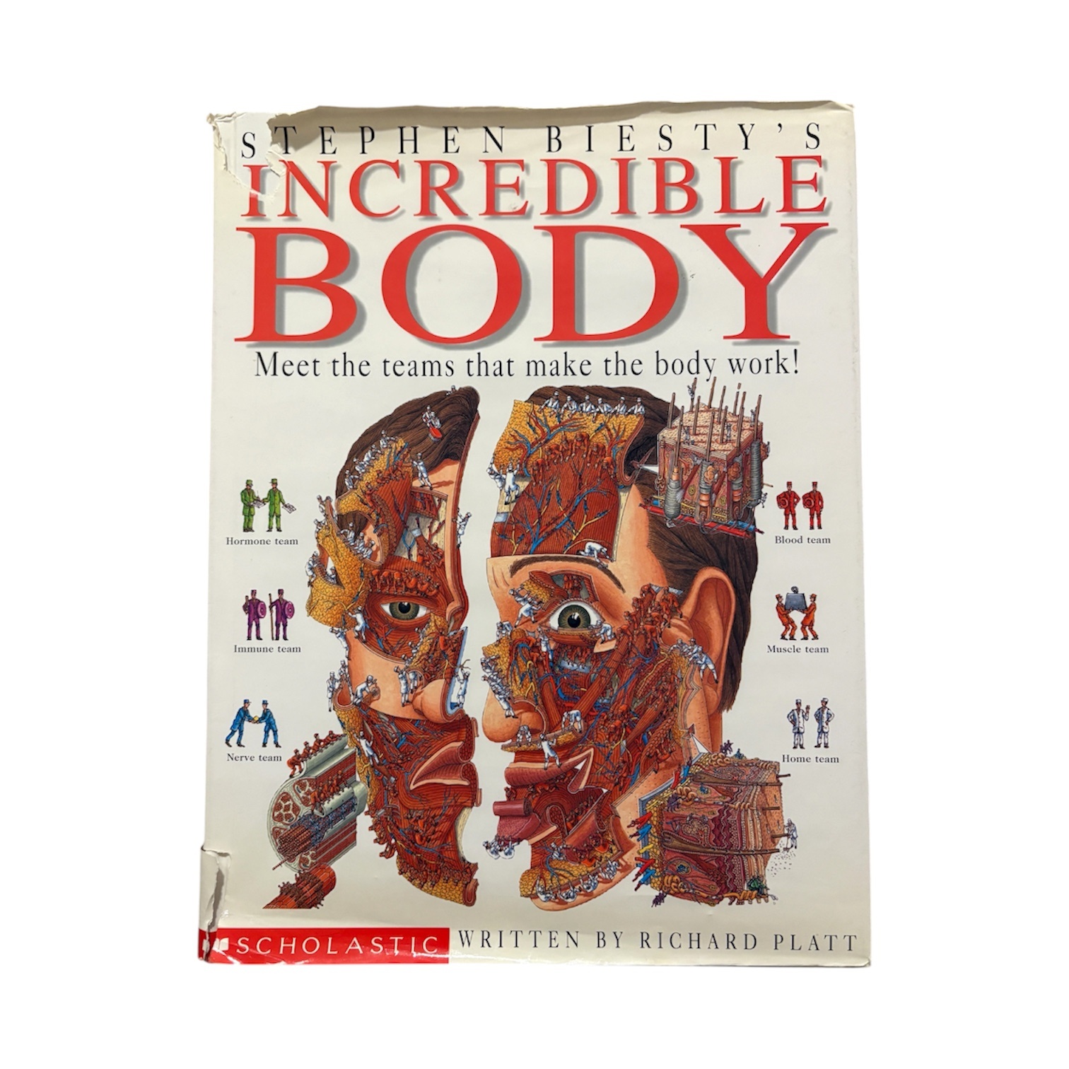 Stephen Biesty's Incredible Body Hardcover Book Kids Science