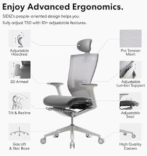 Premium Ergonomic Home Office Chair ( $450-> $100)