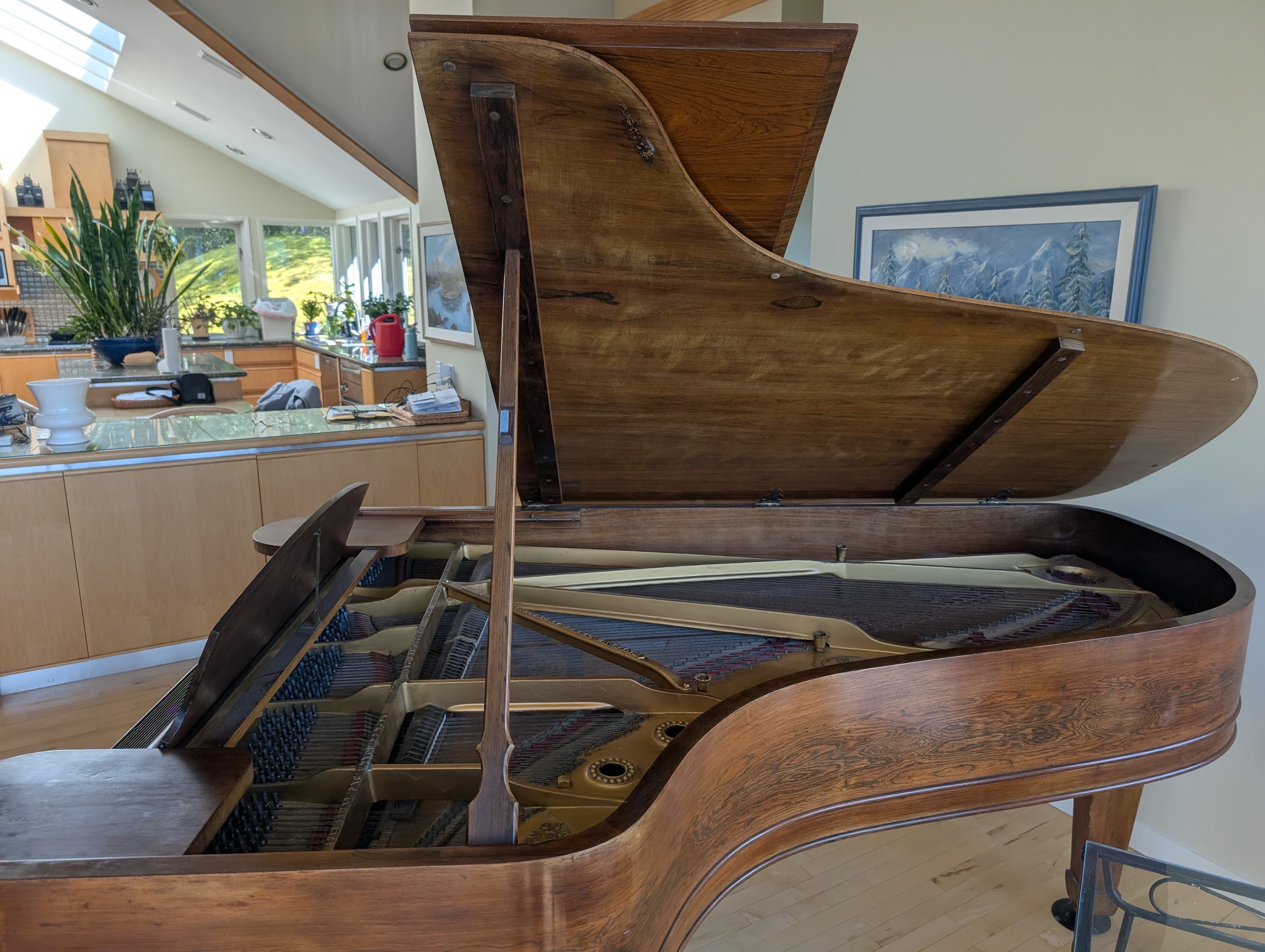Steinway & Sons - Model C Concert Grand Piano - photo 3