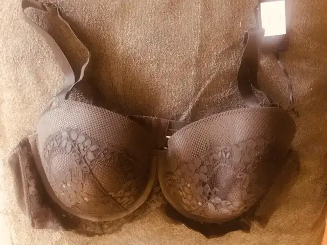 City Chic Bra - Brand New