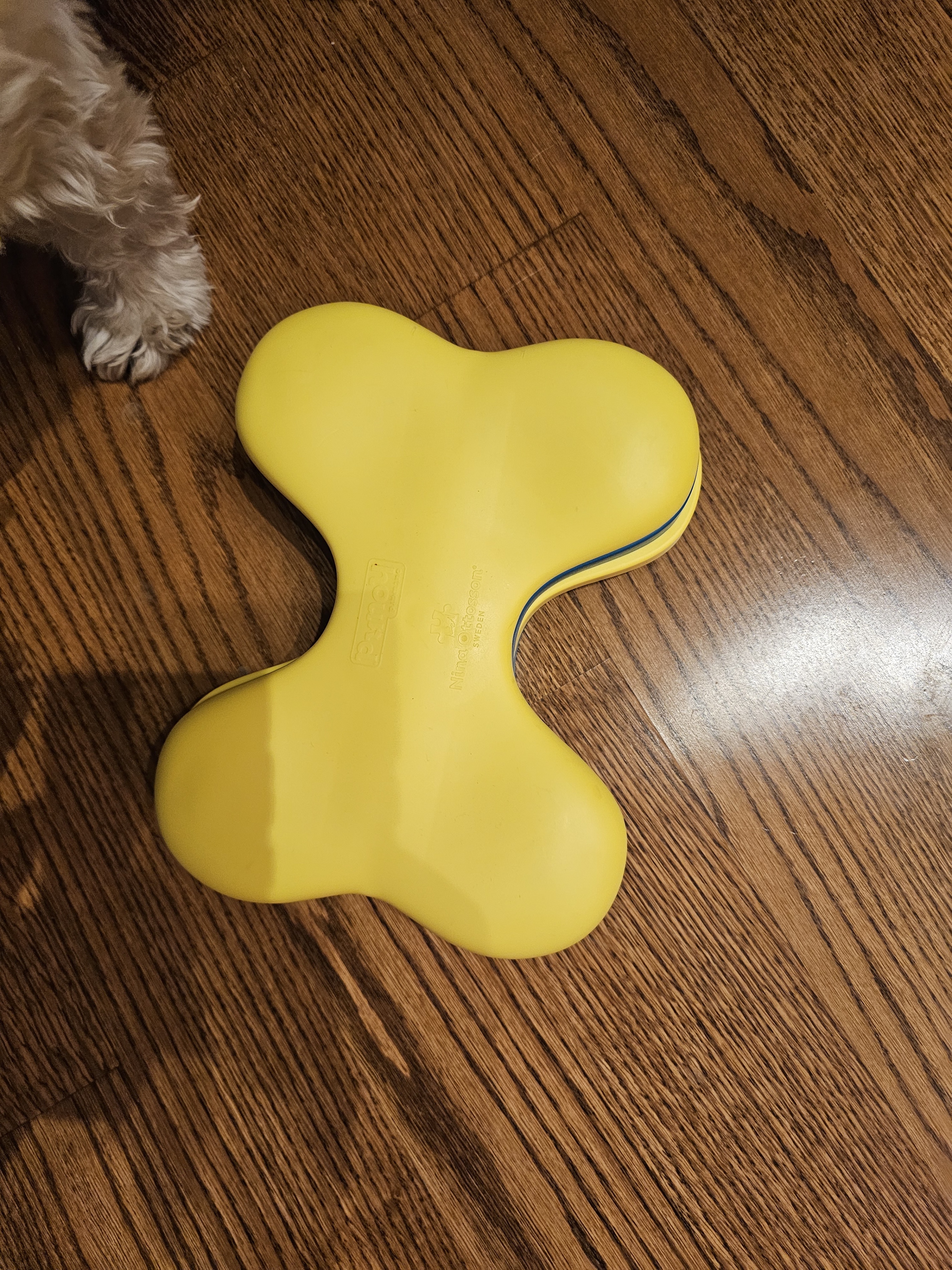 Trixie Dog Puzzle Toy