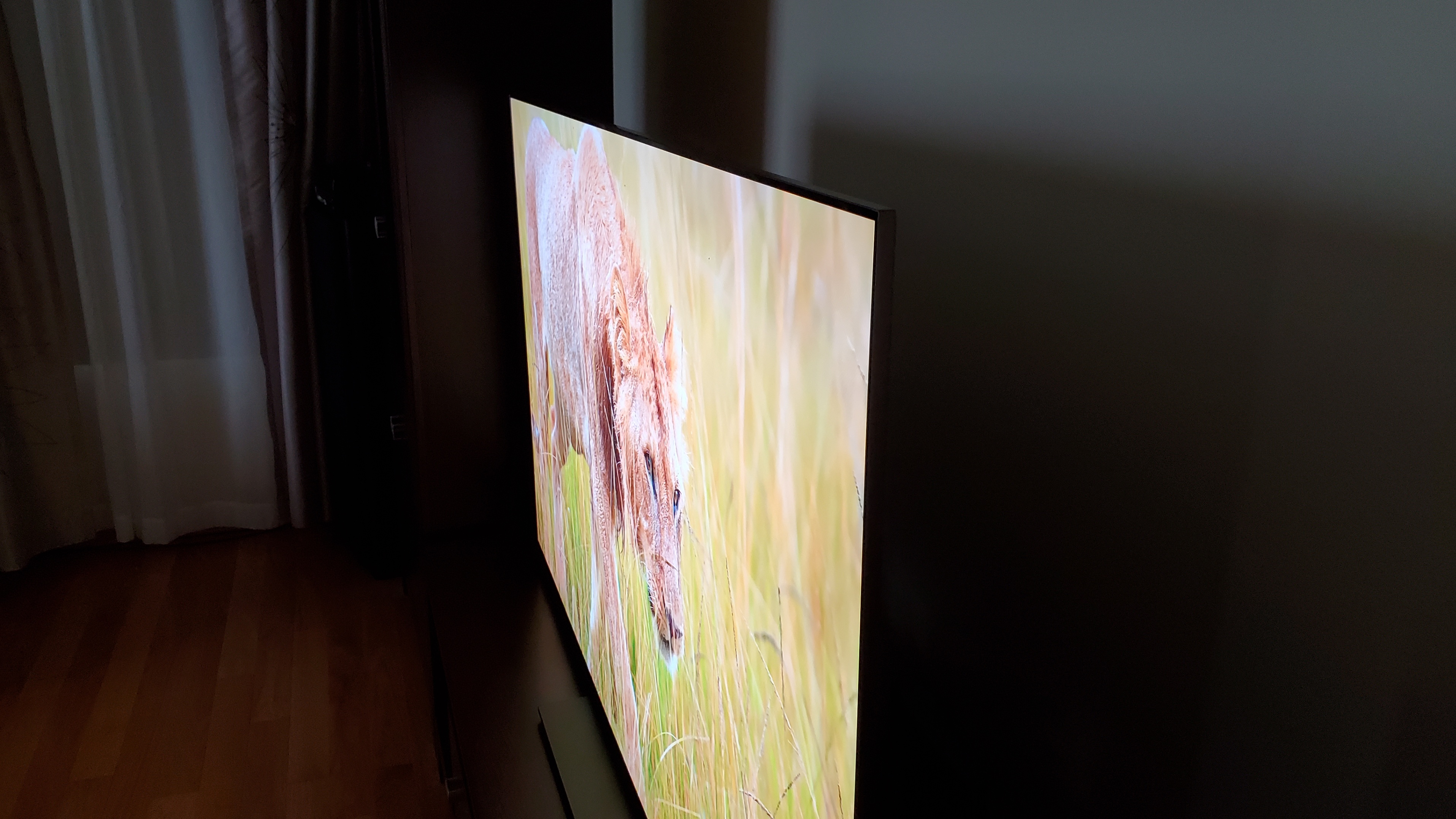 Sony Bravia 8, 65" 4k Oled TV - photo 3
