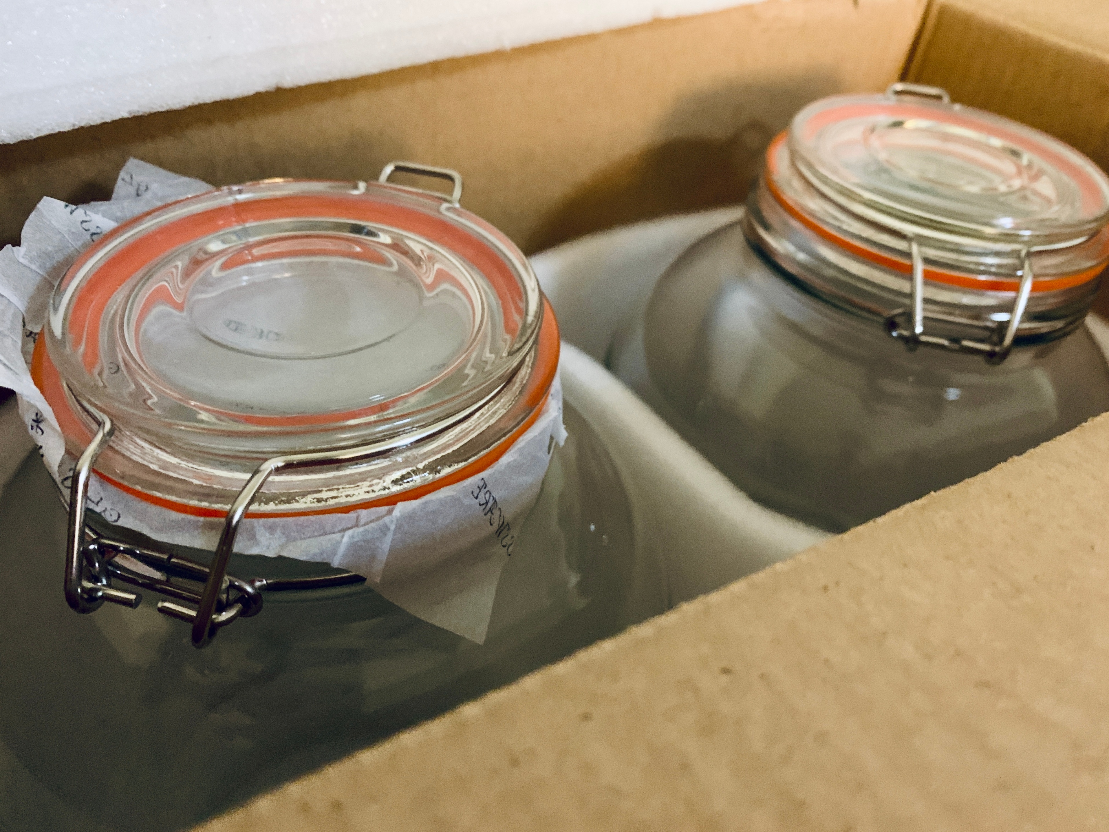 NEW 2 Pack - 1 Gallon Wide Mouth Mason Jars with Hinged - photo 2