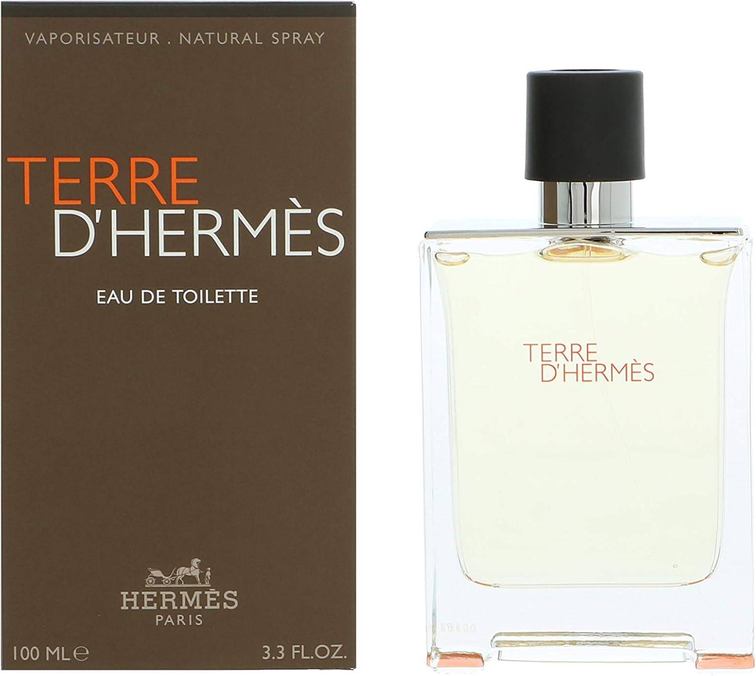 Hermès Terre d’Hermès – EDT 100 ml (Men)