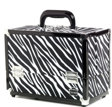 Cosmetic Train Case
