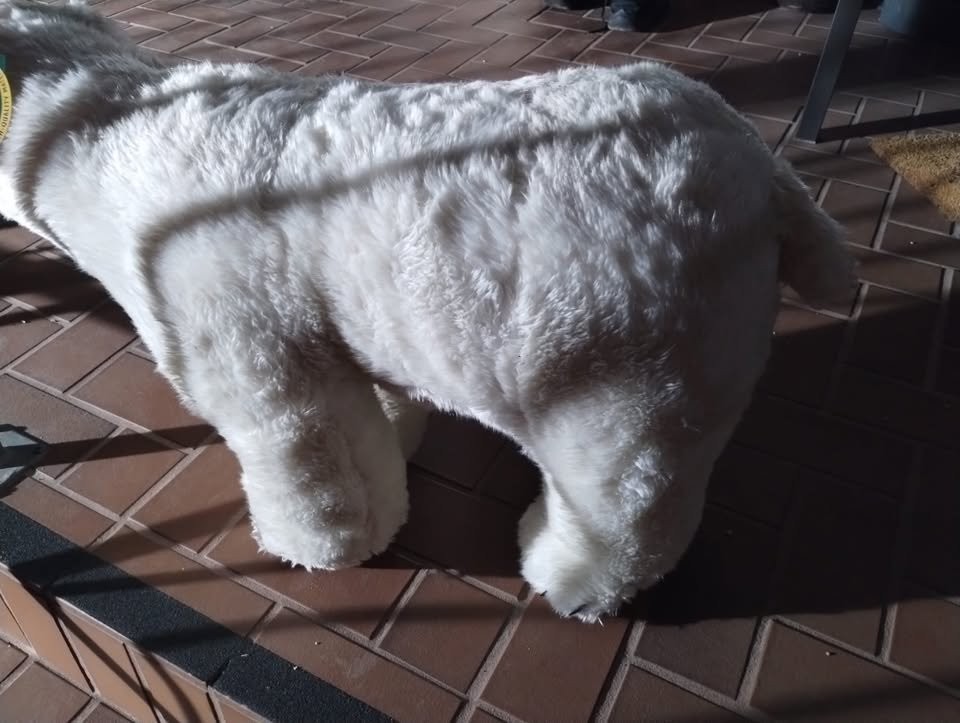 Melissa & Doug Giant Polar Bear - Lifelike Stuffed Animal - photo 4