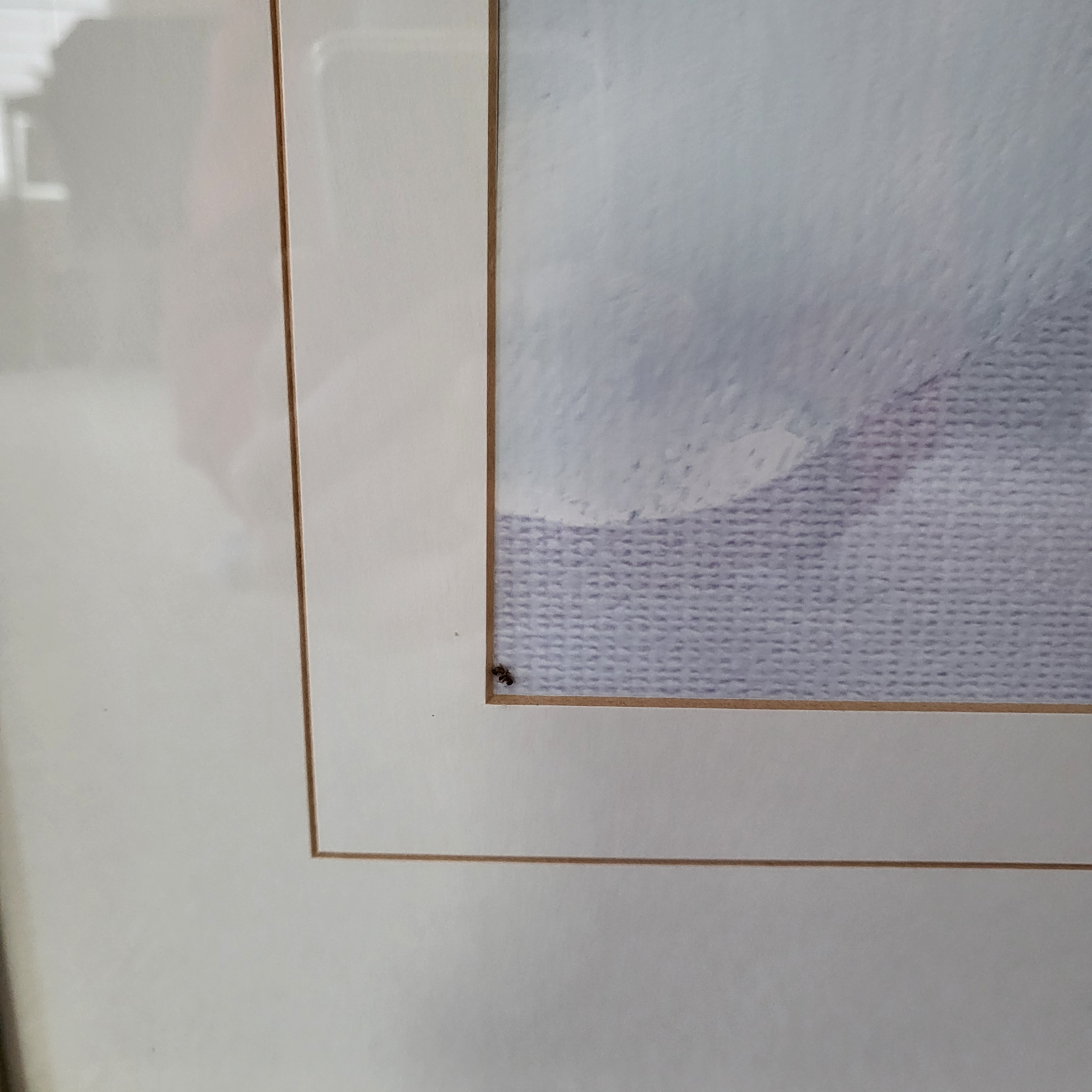 Great Condition 2 Large Pastel Flower Canvases - South Ajax - photo 4