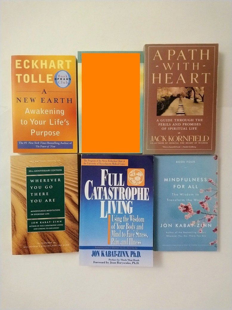 Eckhart Tolle / Jon Kabat-Zinn / Spiritual books!