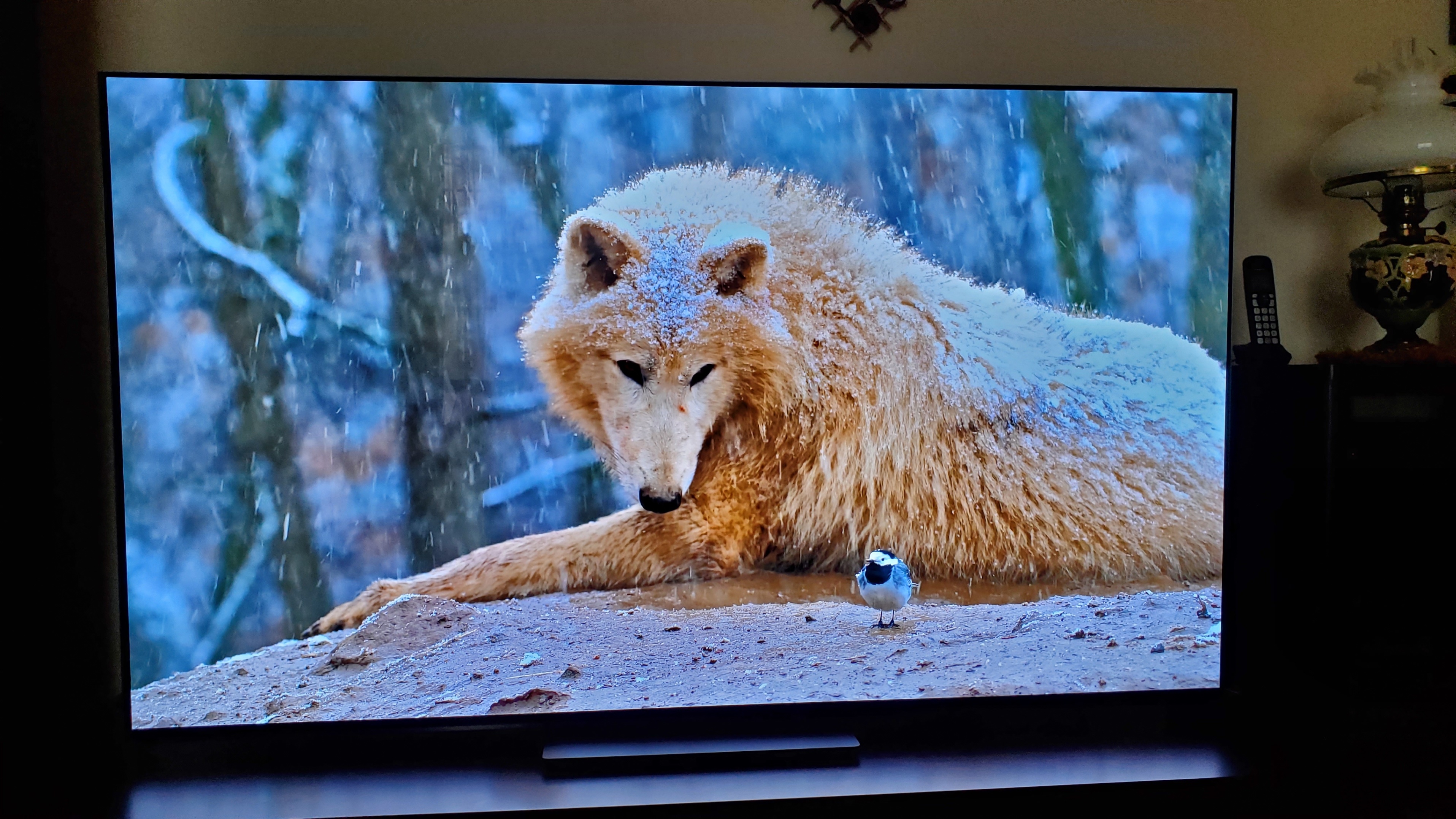 Sony Bravia 8, 65" 4k Oled TV - photo 2