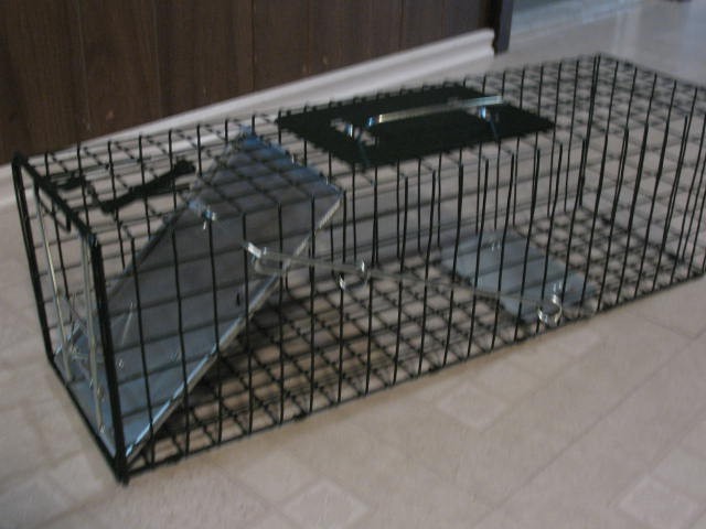 Small Live Animal Cage Trap, BRAND NEW - photo 2