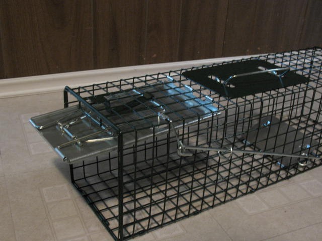 Small Live Animal Cage Trap, BRAND NEW - photo 4