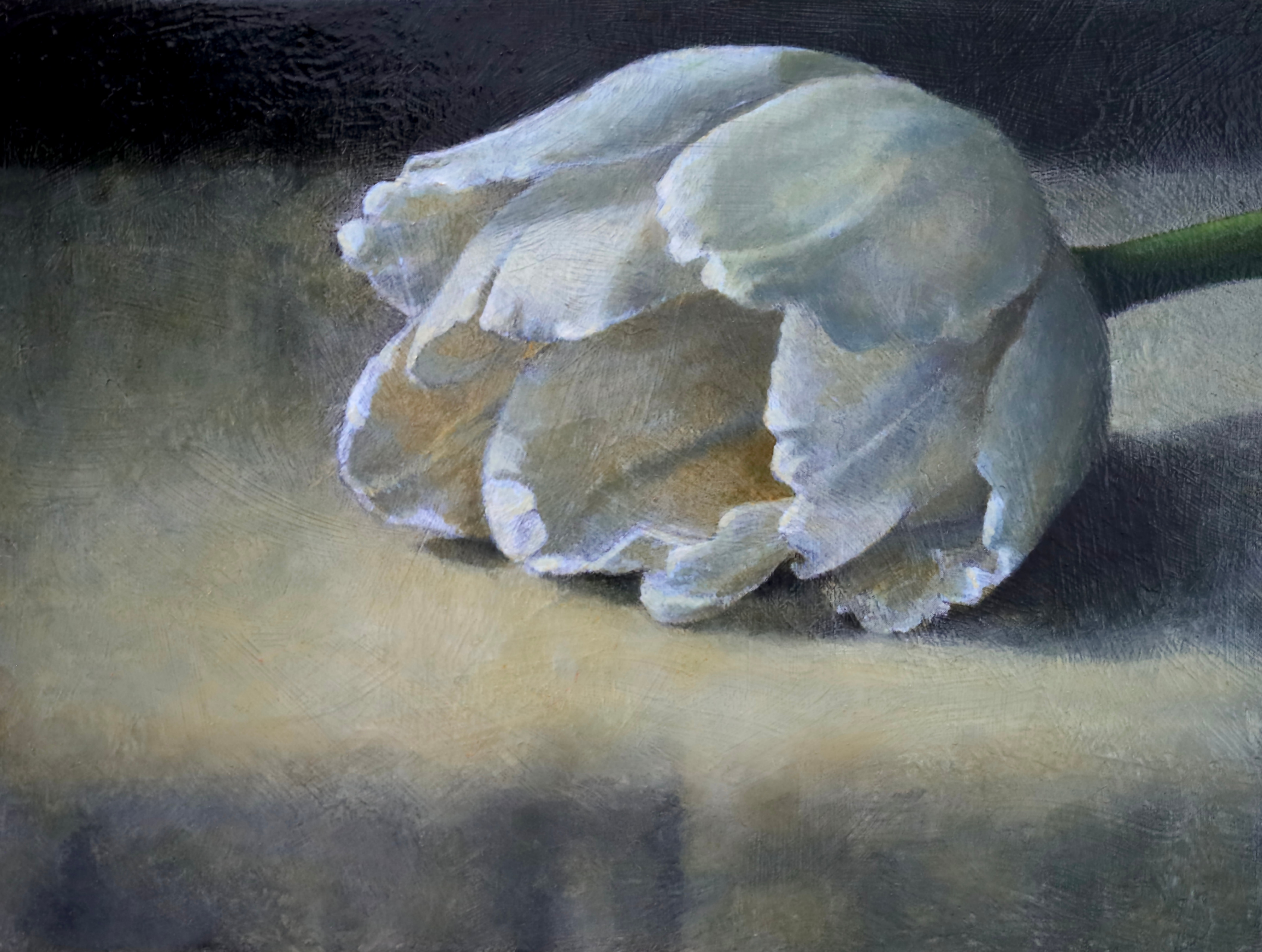 Original Oil Painting | White Tulip