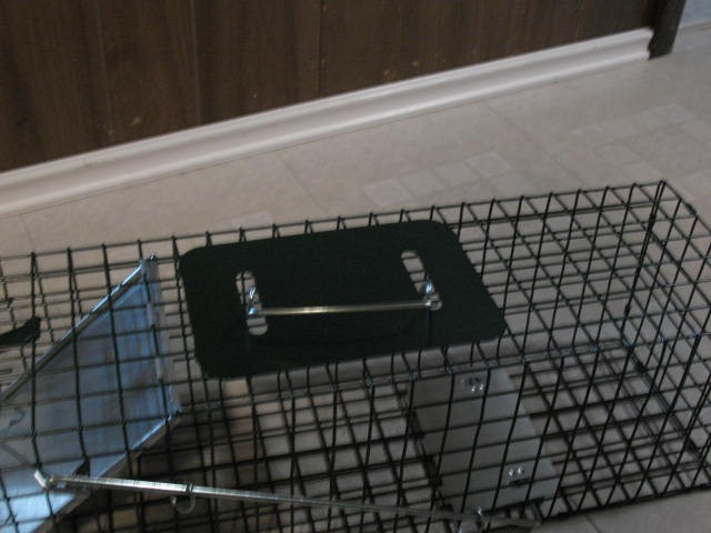 Small Live Animal Cage Trap, BRAND NEW - photo 3