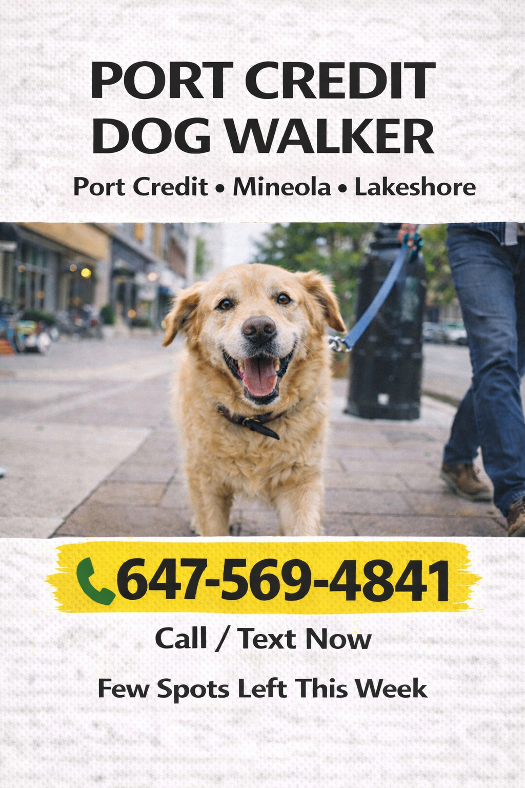 Port Credit Dog Walker | Local Dog Walking Near You