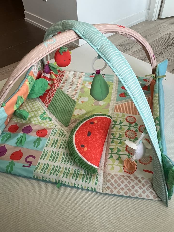 Skip Hop Farm Play Gym