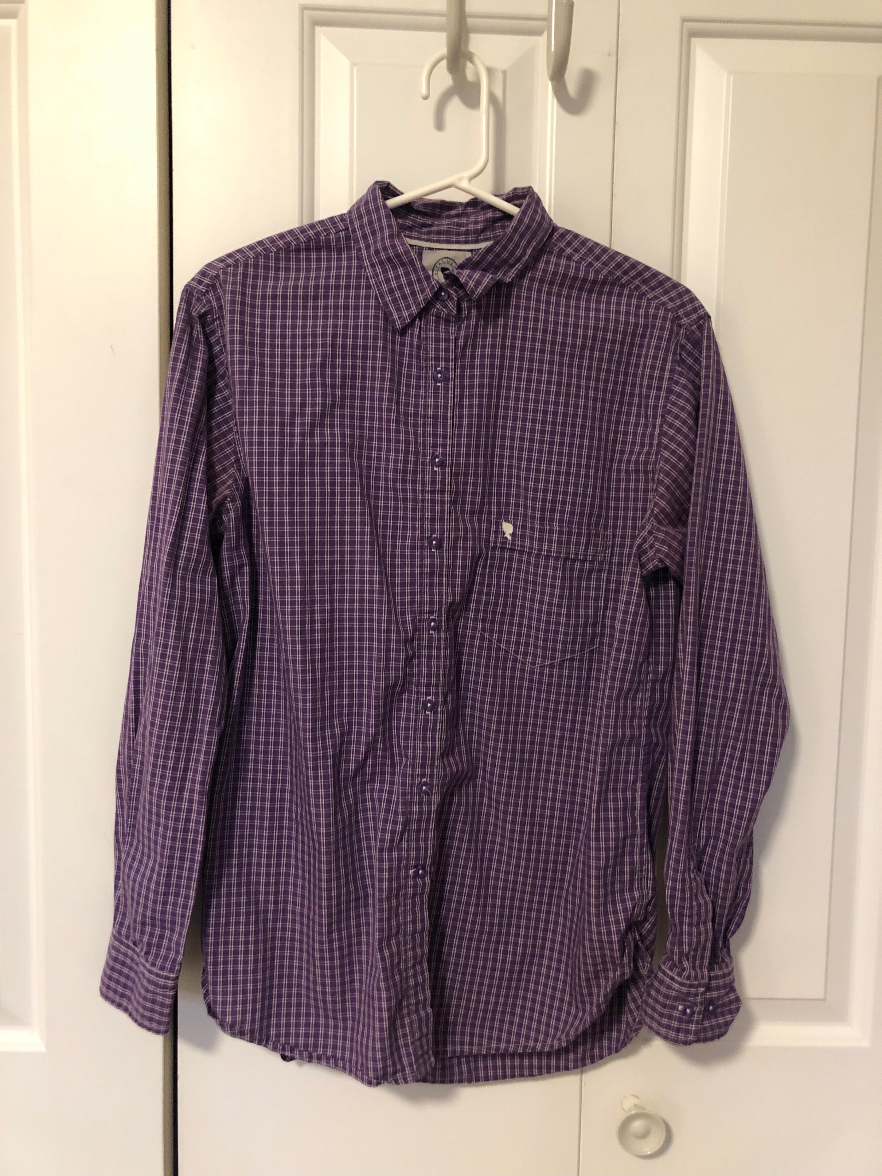 Aritzia Talula Oxford Boyfriend Fit Shirt