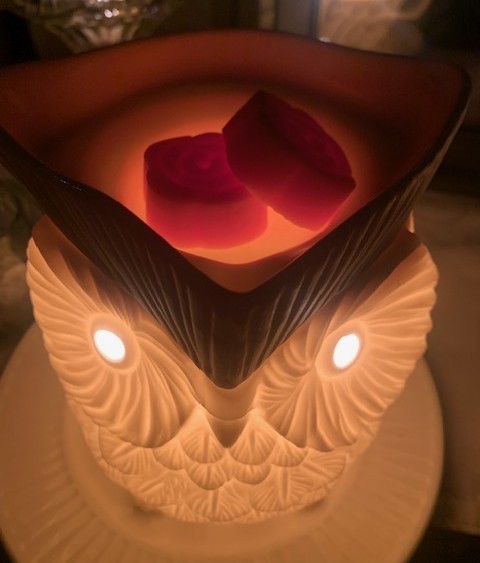 5 Packages for $20 Sale!-Hand-Poured Scented Soy Wax Melts - photo 3