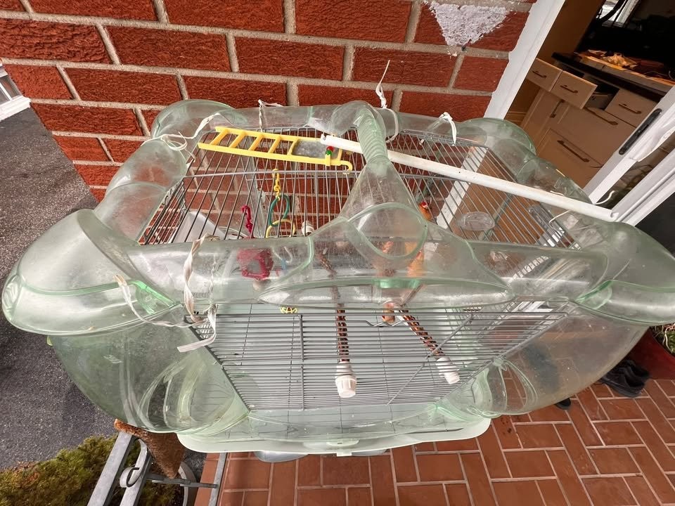 Hagen Vision Bird Cage w/Stand & Lots of Accessories - photo 3