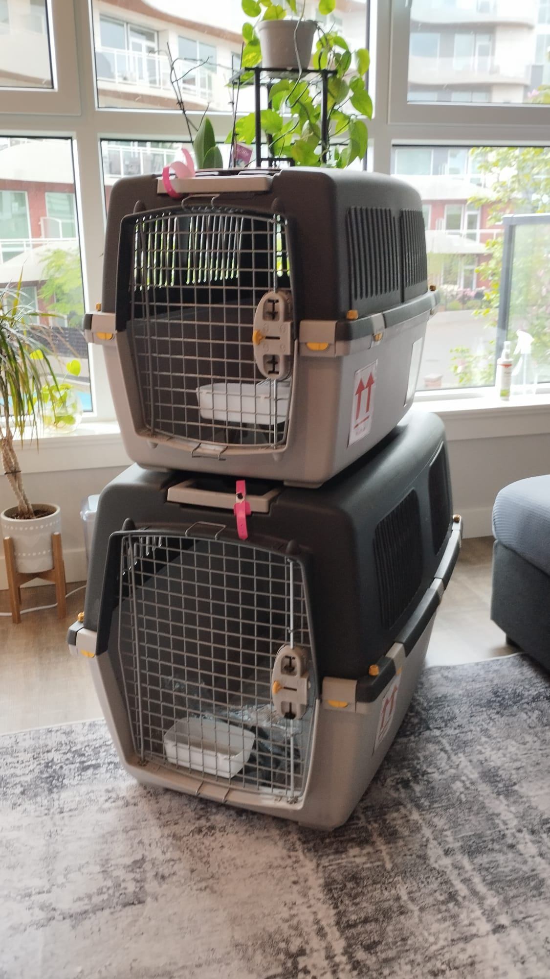 Stefanplast Gulliver 4 IATA Approved Dog Carrier - photo 5
