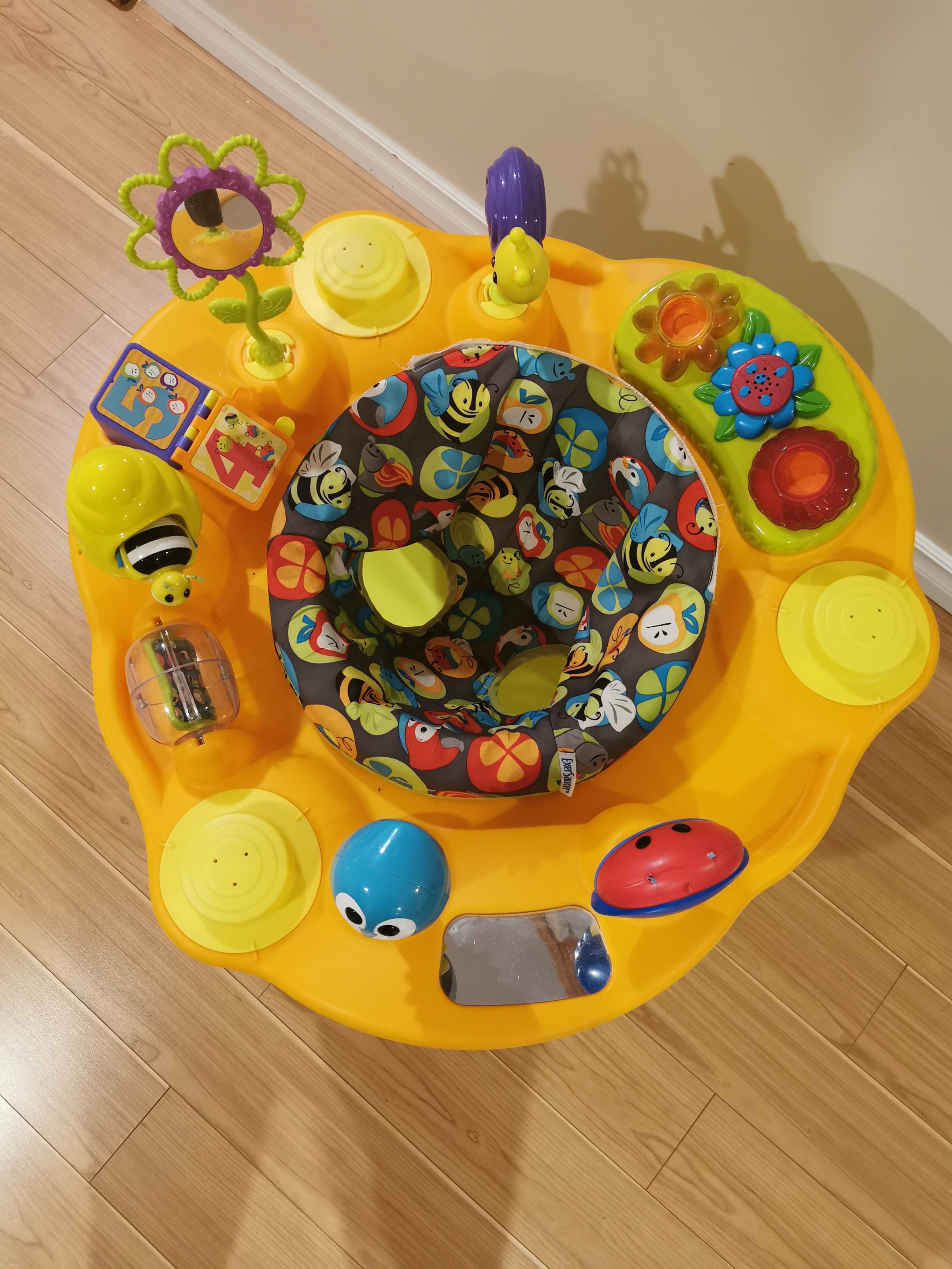 Evenflo ExerSaucer Activity Centre (4-12 Months) - photo 2